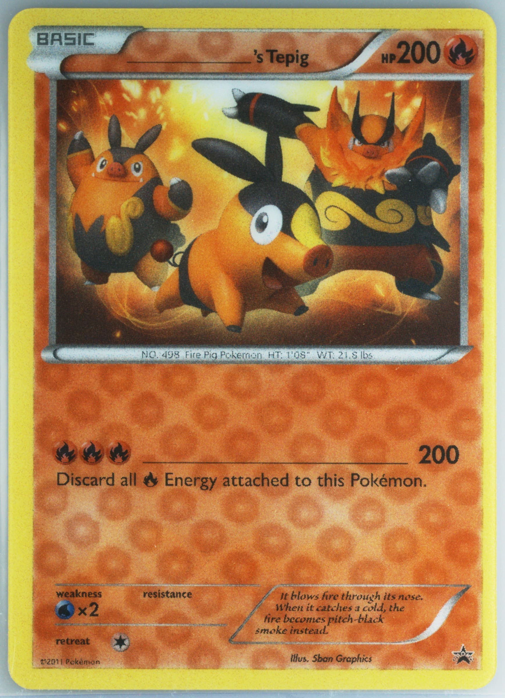 ____'s Tepig Jumbo-Terrific Tepig Box 2011 Pokemon Black & White Promo