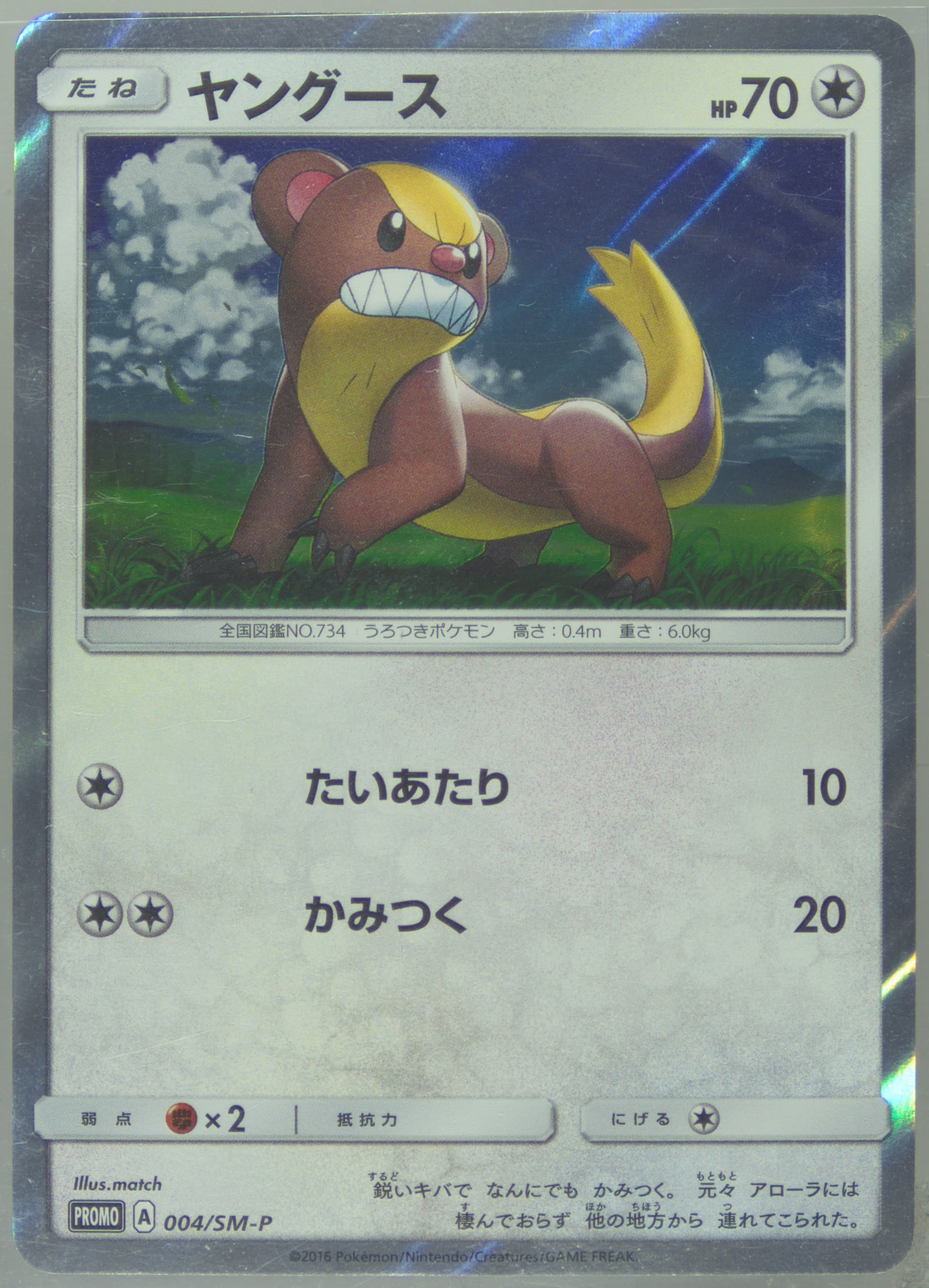 Yungoos Yungoos Special Set (004) 2016 Pokemon Japanese SM Promo