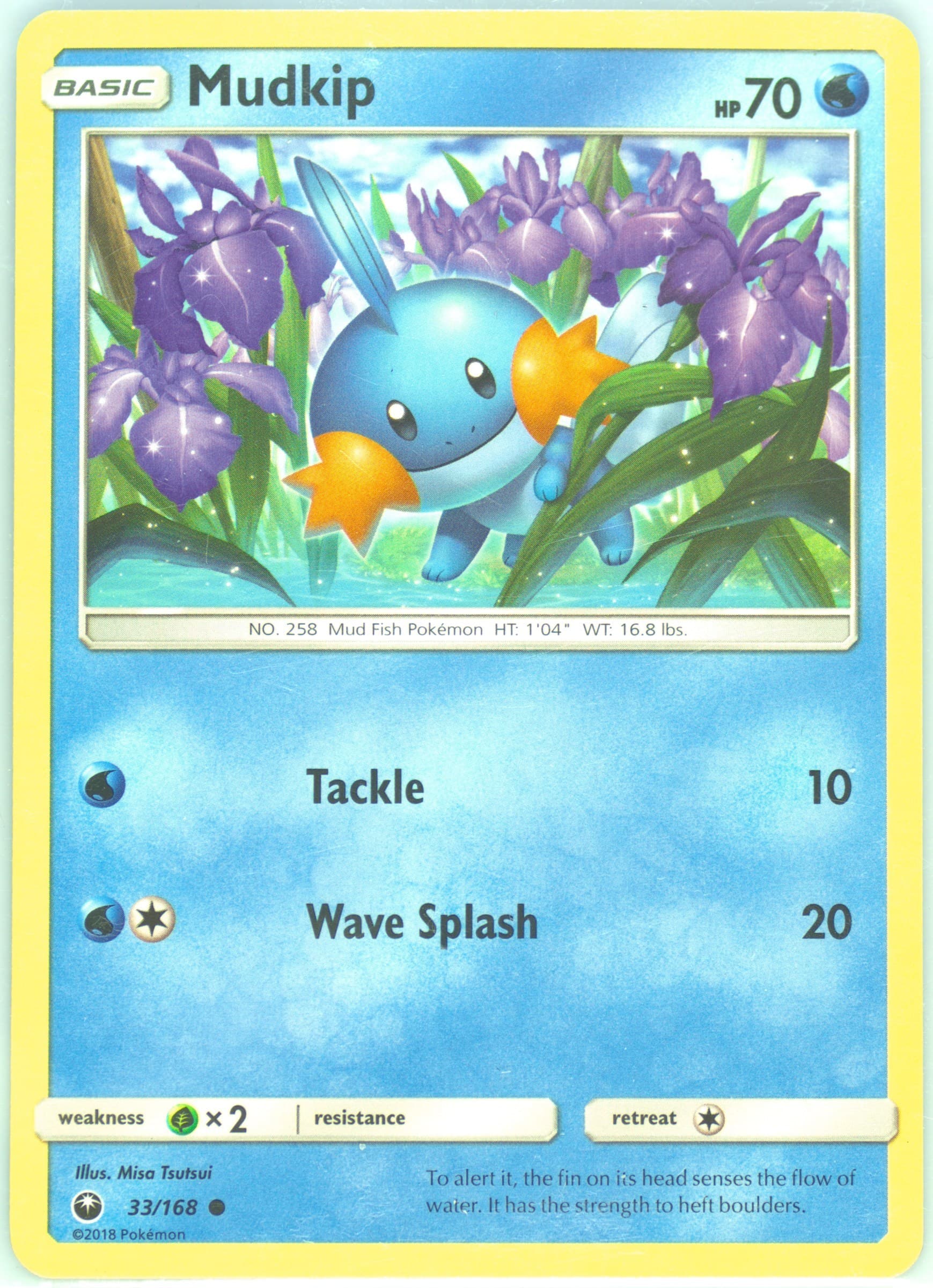 Mudkip (33) 2018 Pokemon Sun & Moon Celestial Storm
