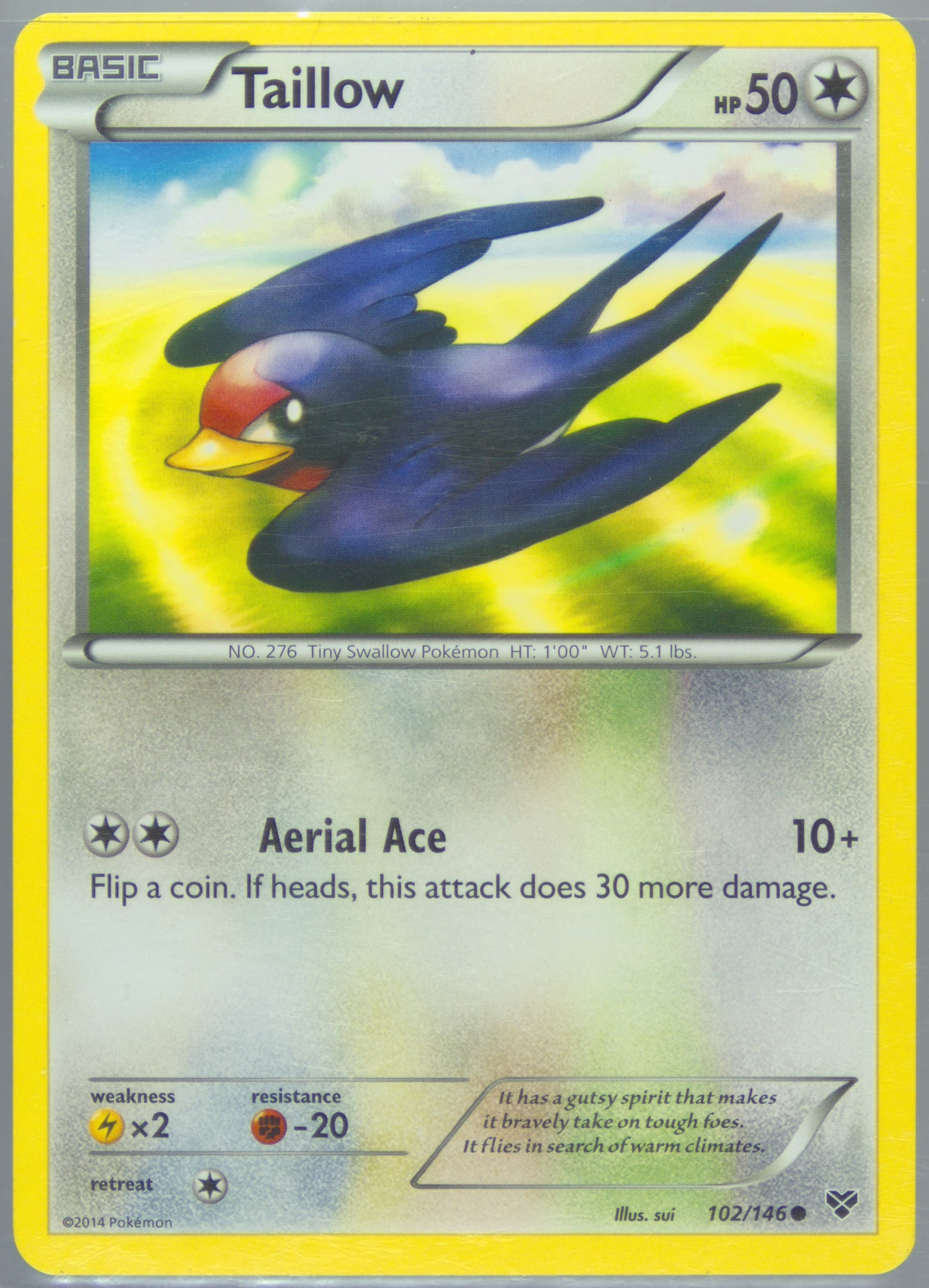 Taillow (102) 2014 Pokemon XY