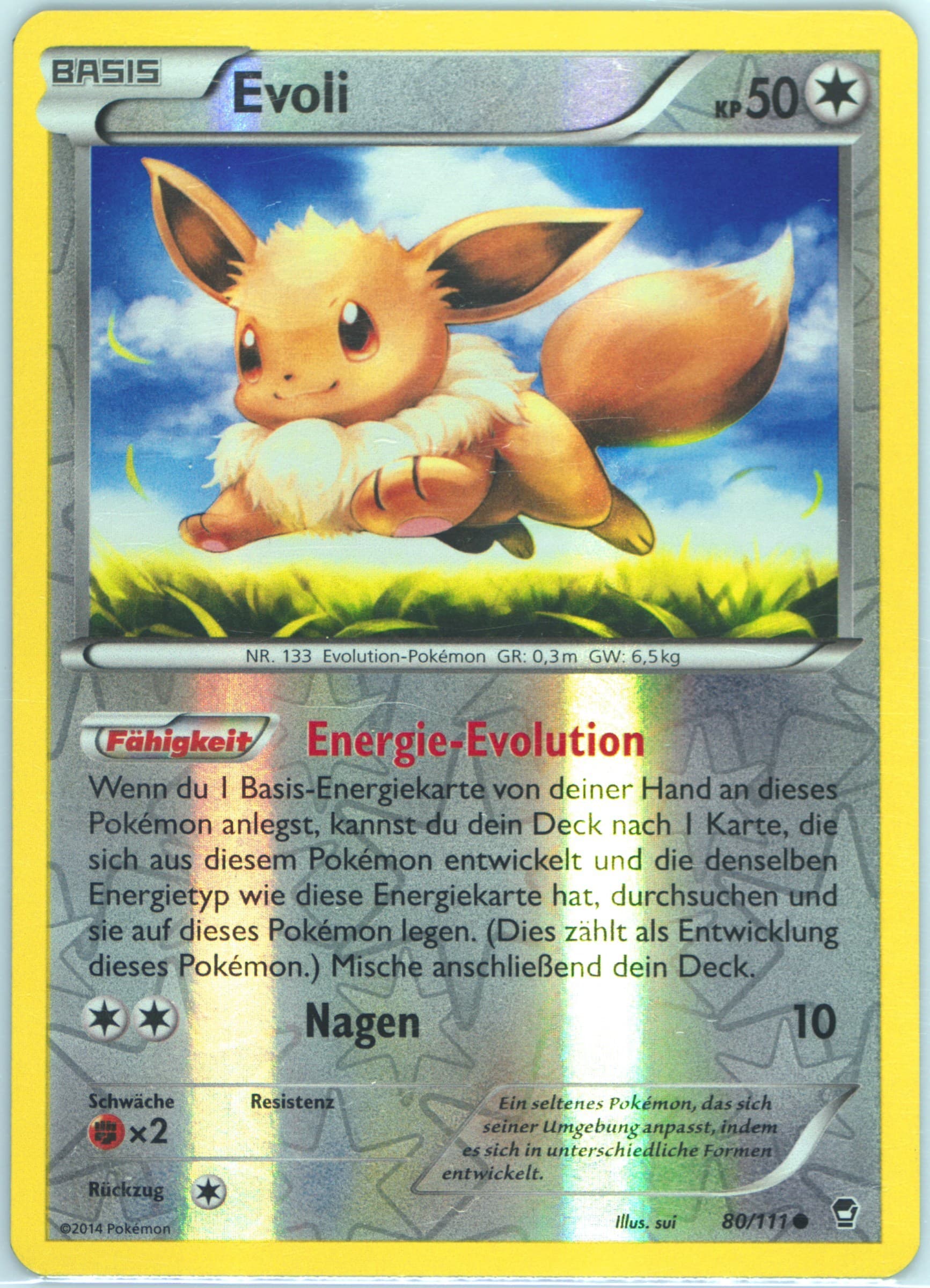 Evoli-Reverse Foil German (80) 2014 Pokemon XY Furious Fists