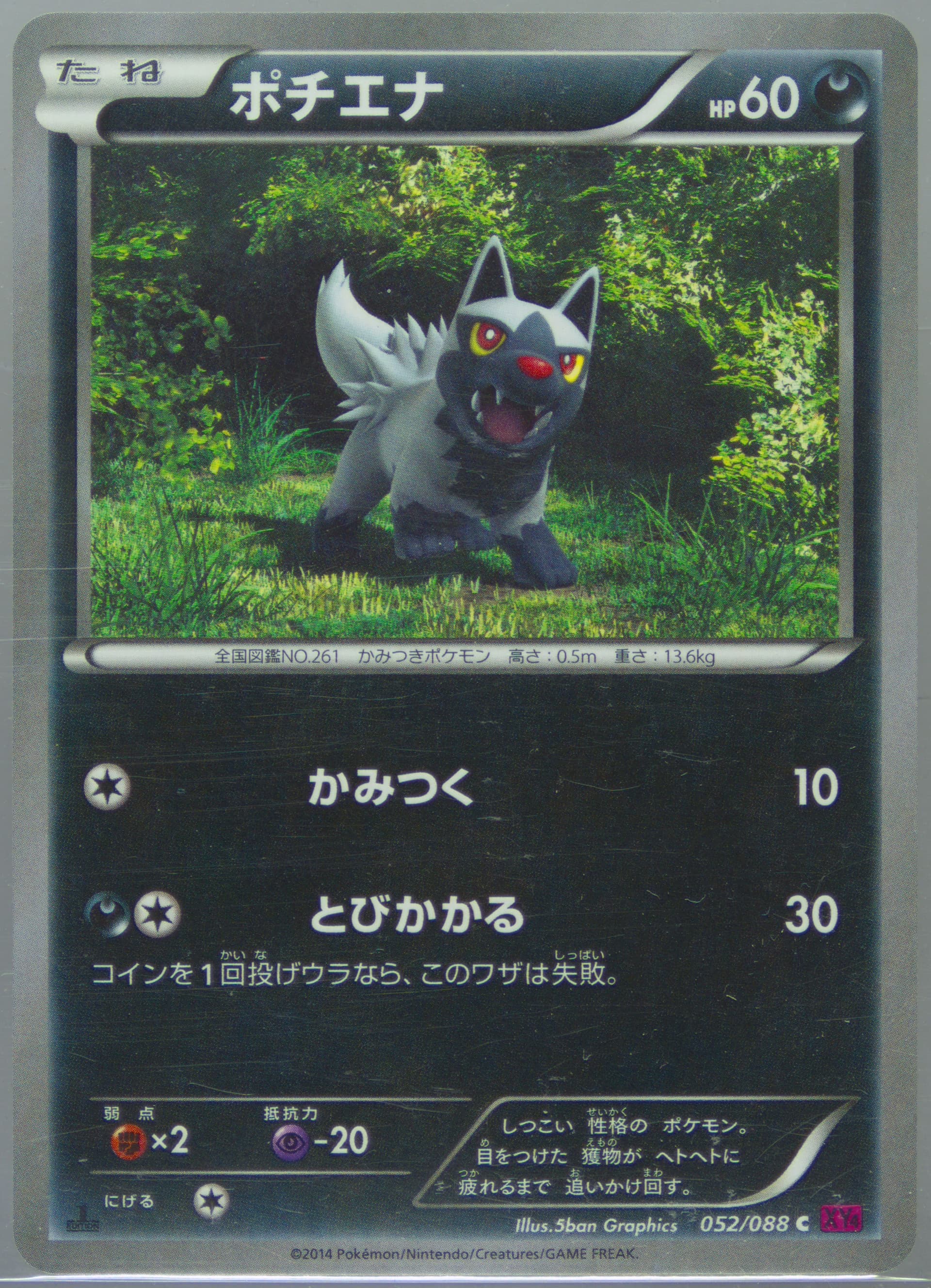 Poochyena 1st Edition (052) 2014 Pokemon Japanese XY Phantom Gate