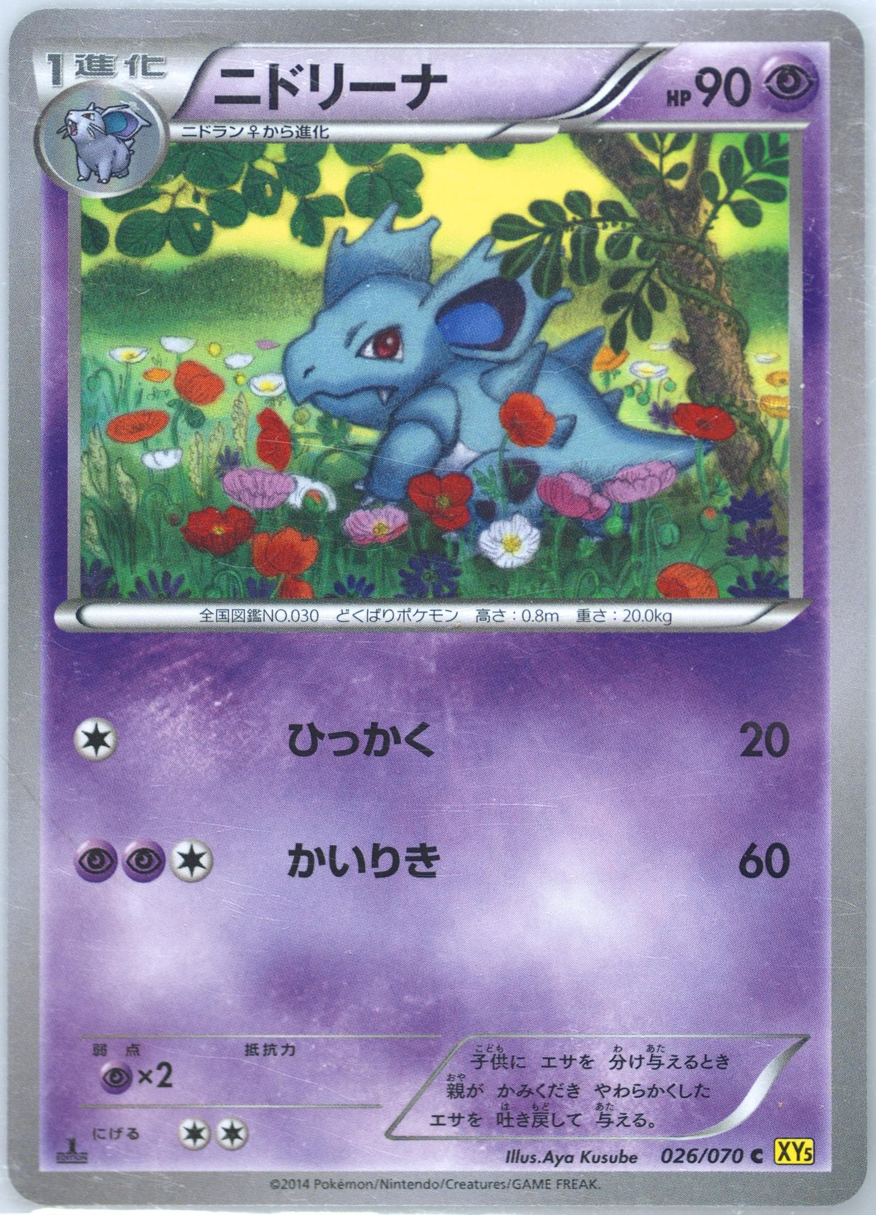 Nidorina 1st Edition (026) 2014 Pokemon Japanese XY Gaia Volcano