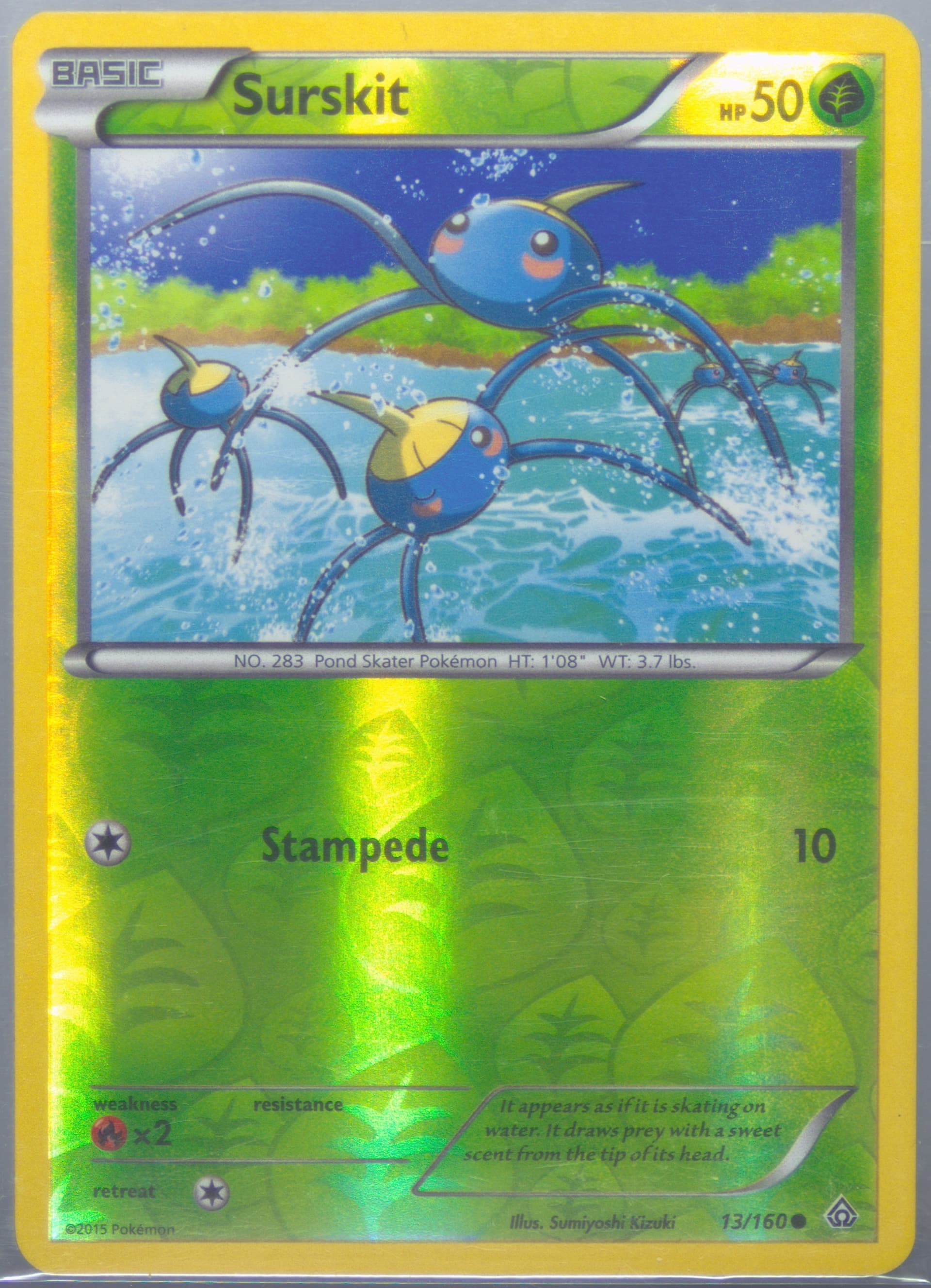 Surskit-Reverse Foil (13) 2015 Pokemon XY Primal Clash