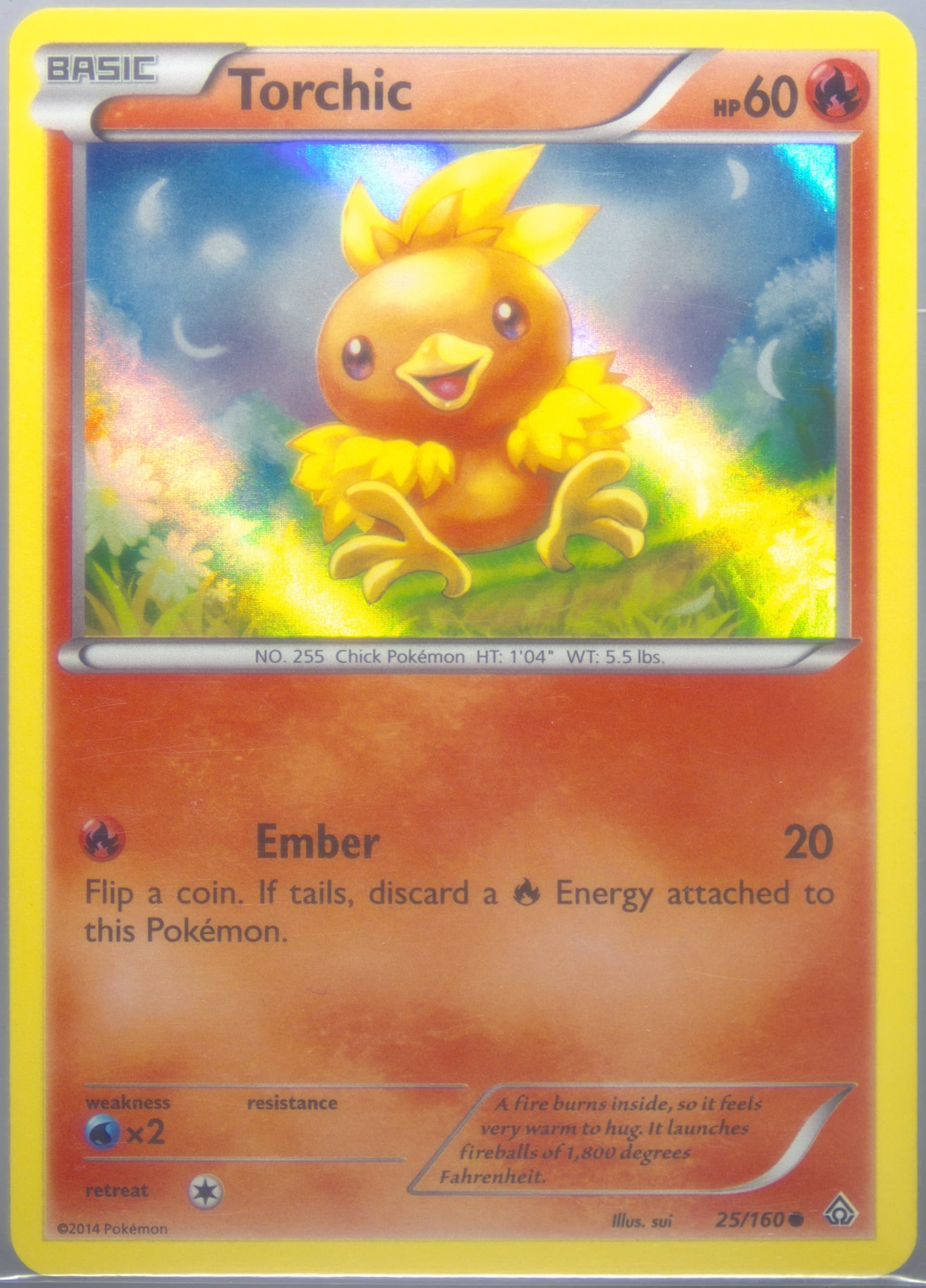 Torchic-Holo Collector Chest (25) 2015 Pokemon XY Primal Clash