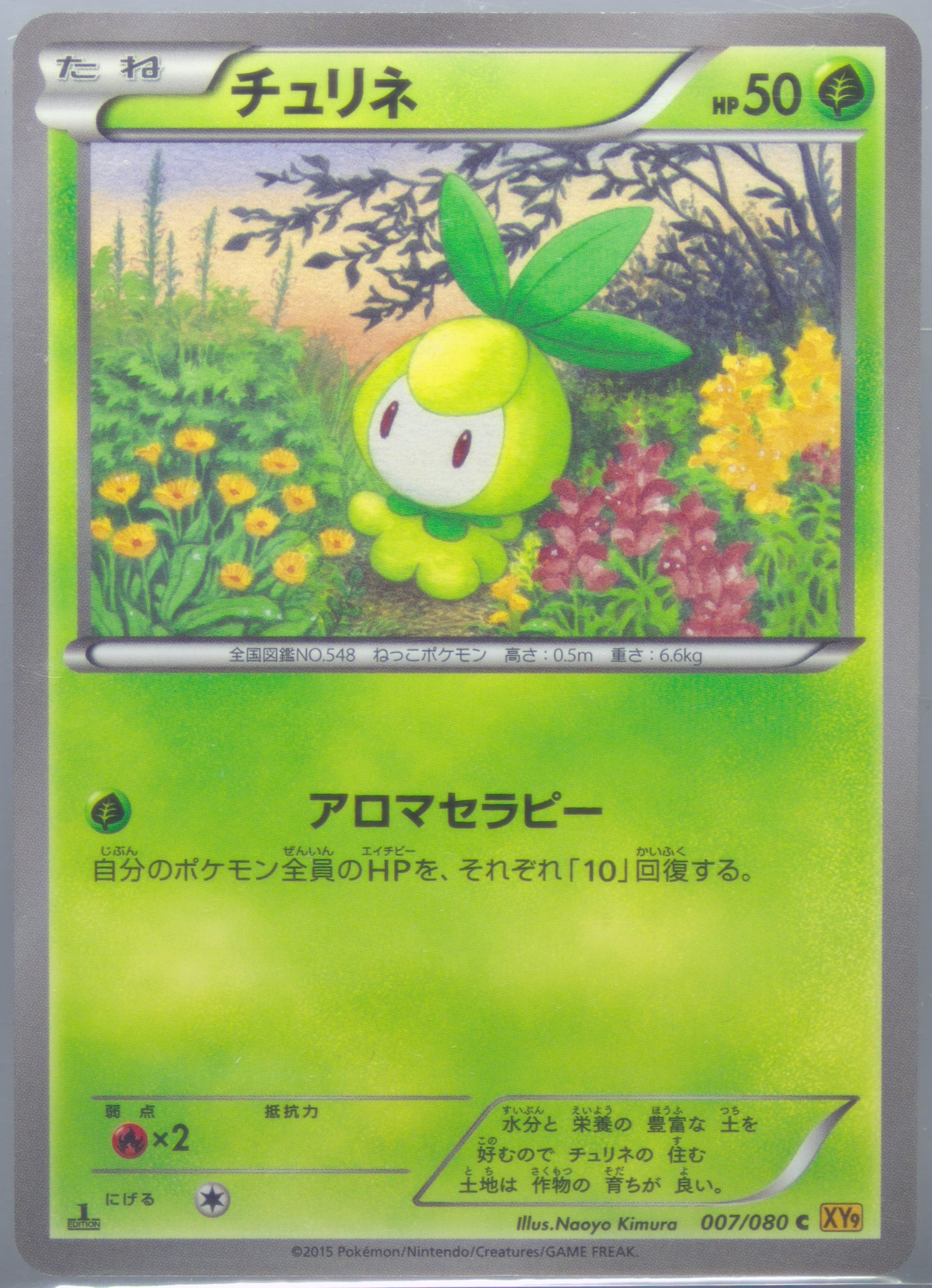 Petilil 1st Edition (007) 2015 Pokemon Japanese XY Rage of the Broken Heavens