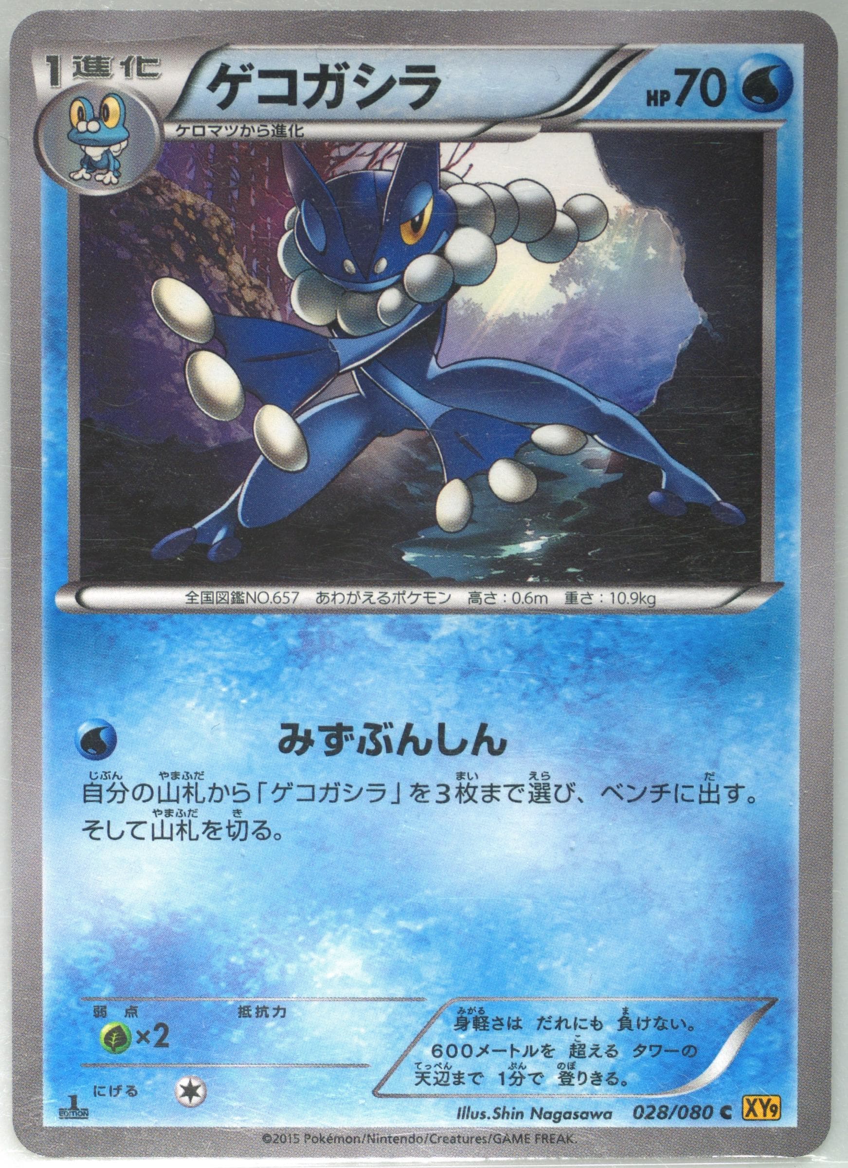 Frogadier 1st Edition (028) 2015 Pokemon Japanese XY Rage of the Broken Heavens
