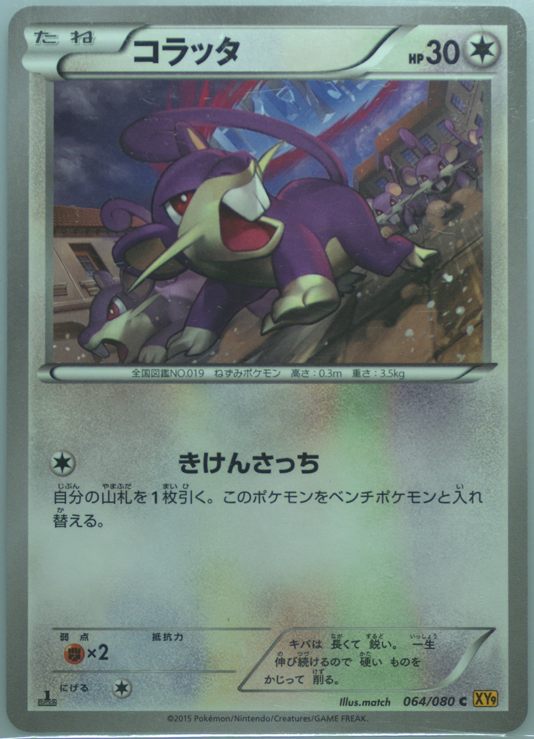 Rattata 1st Edition (064) 2015 Pokemon Japanese XY Rage of the Broken Heavens