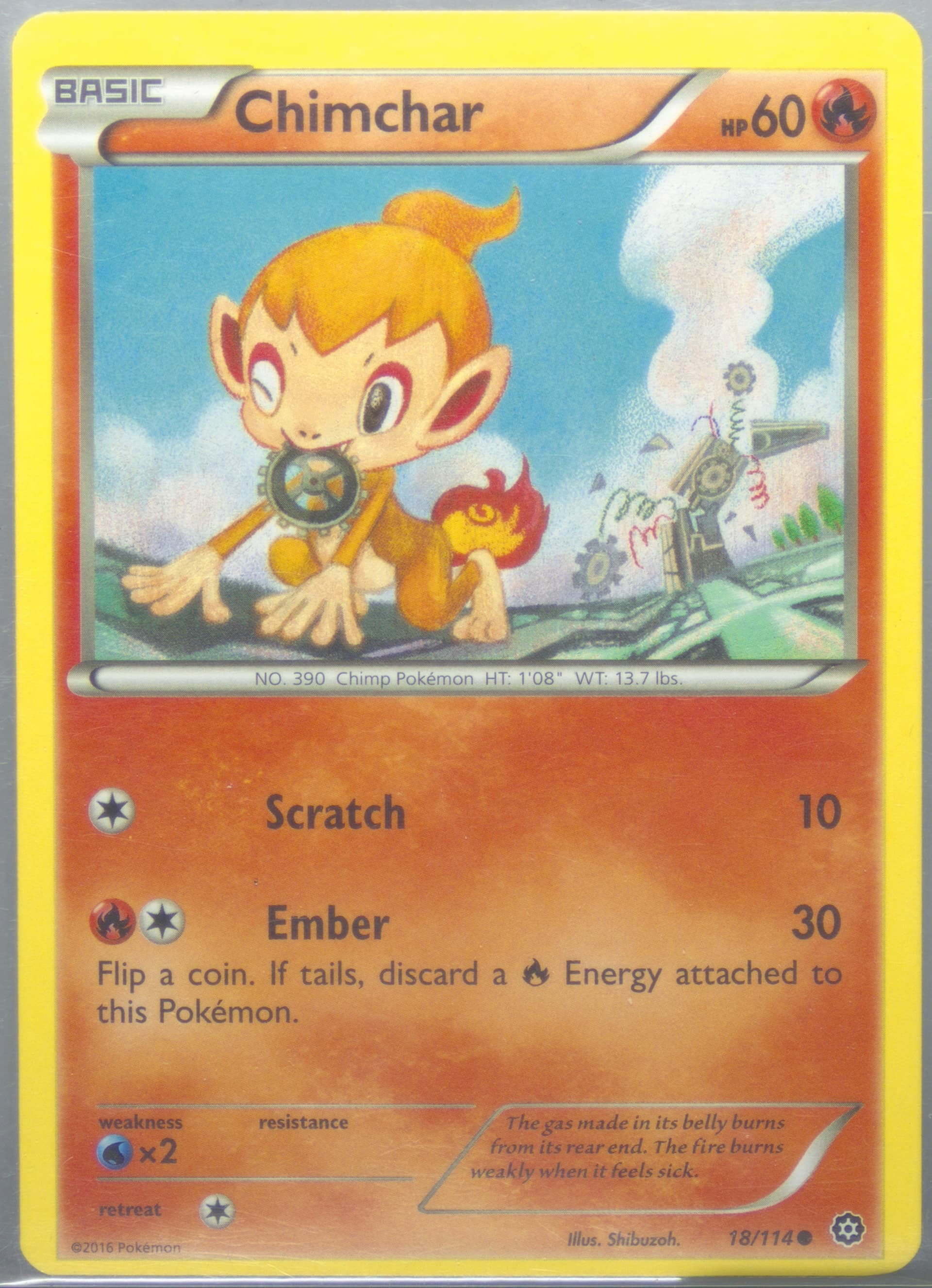 Chimchar (18) 2016 Pokemon XY Steam Siege