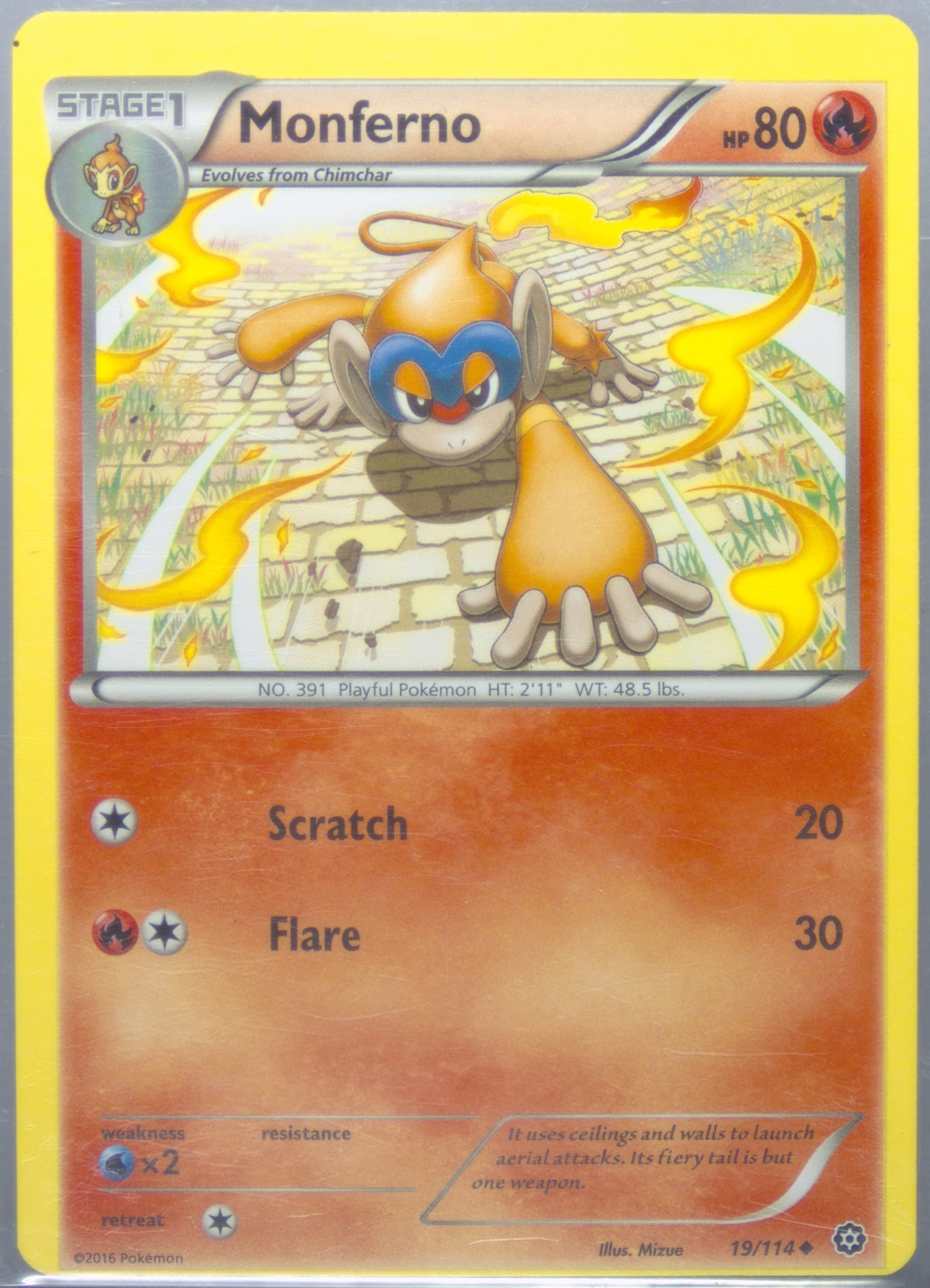Monferno (19) 2016 Pokemon XY Steam Siege