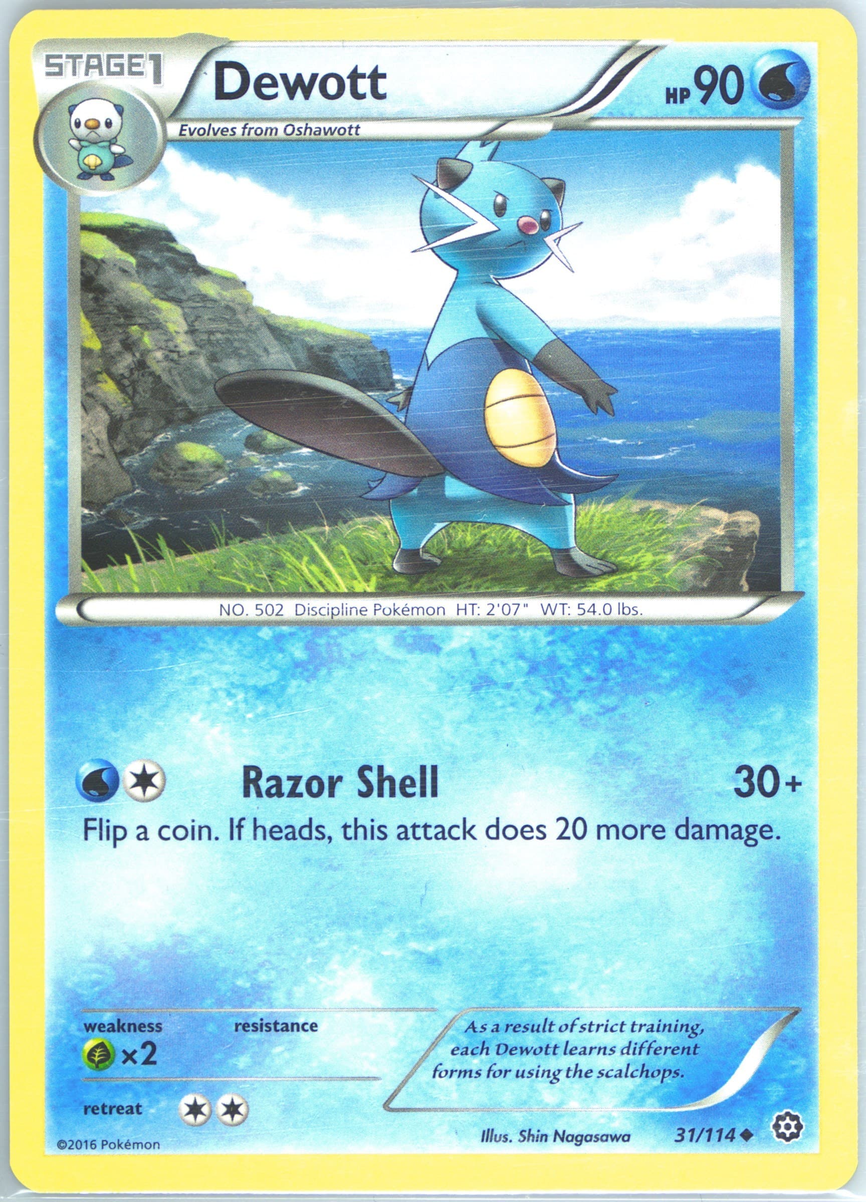 Dewott (31) 2016 Pokemon XY Steam Siege