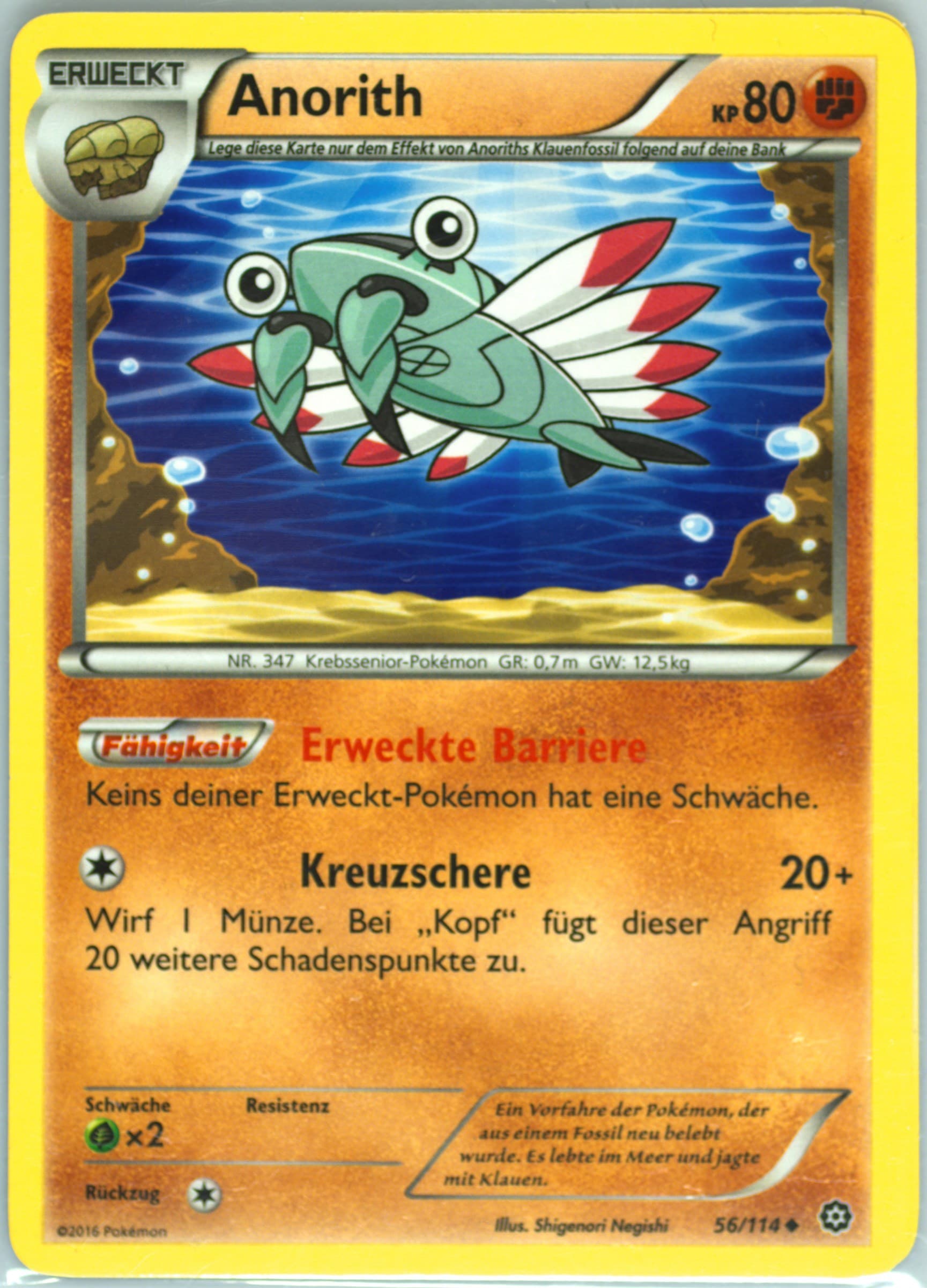 Anorith German (56) 2016 Pokemon XY Steam Siege