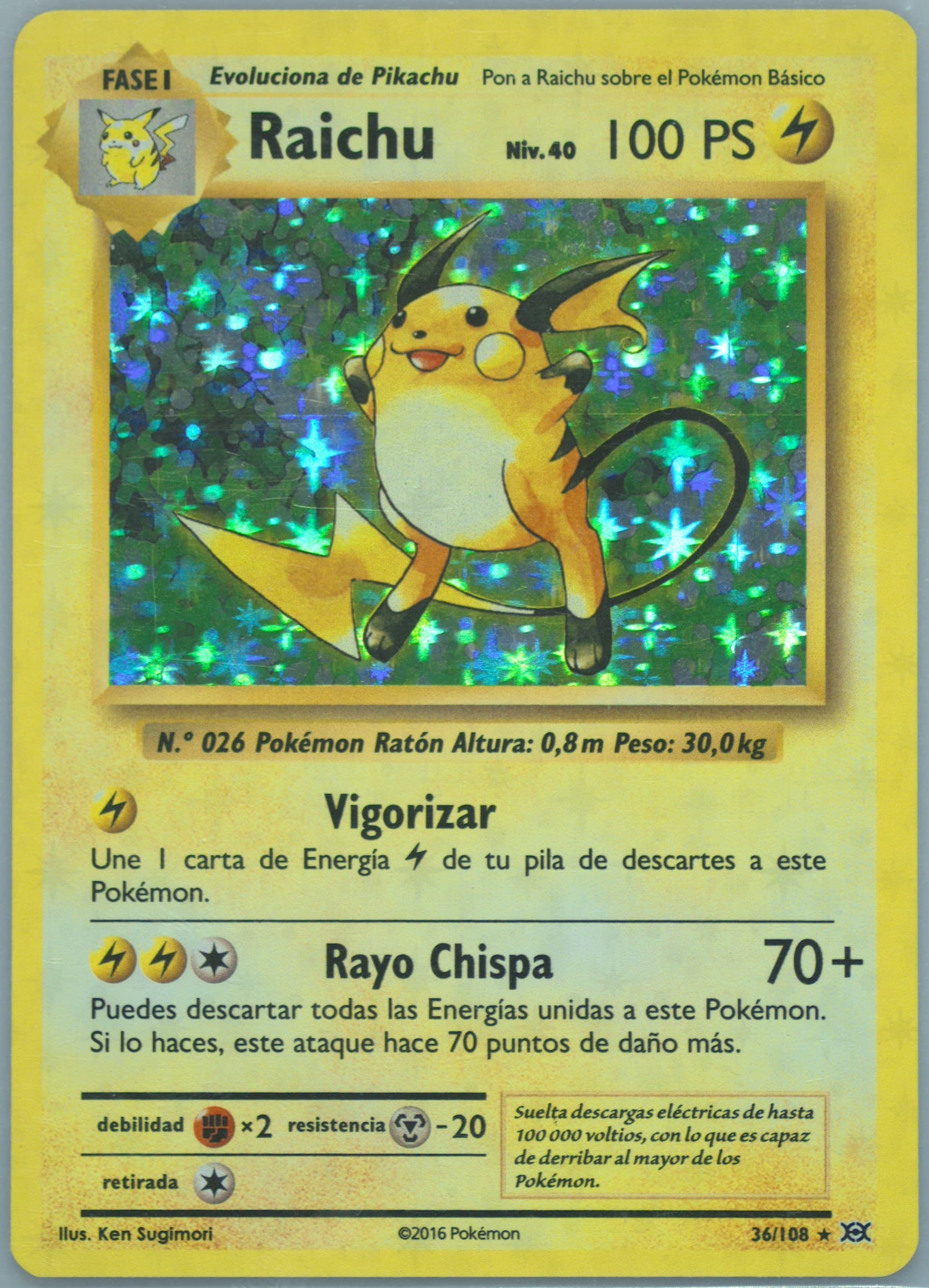 Raichu-Holo Spanish (36) 2016 Pokemon XY Evolutions