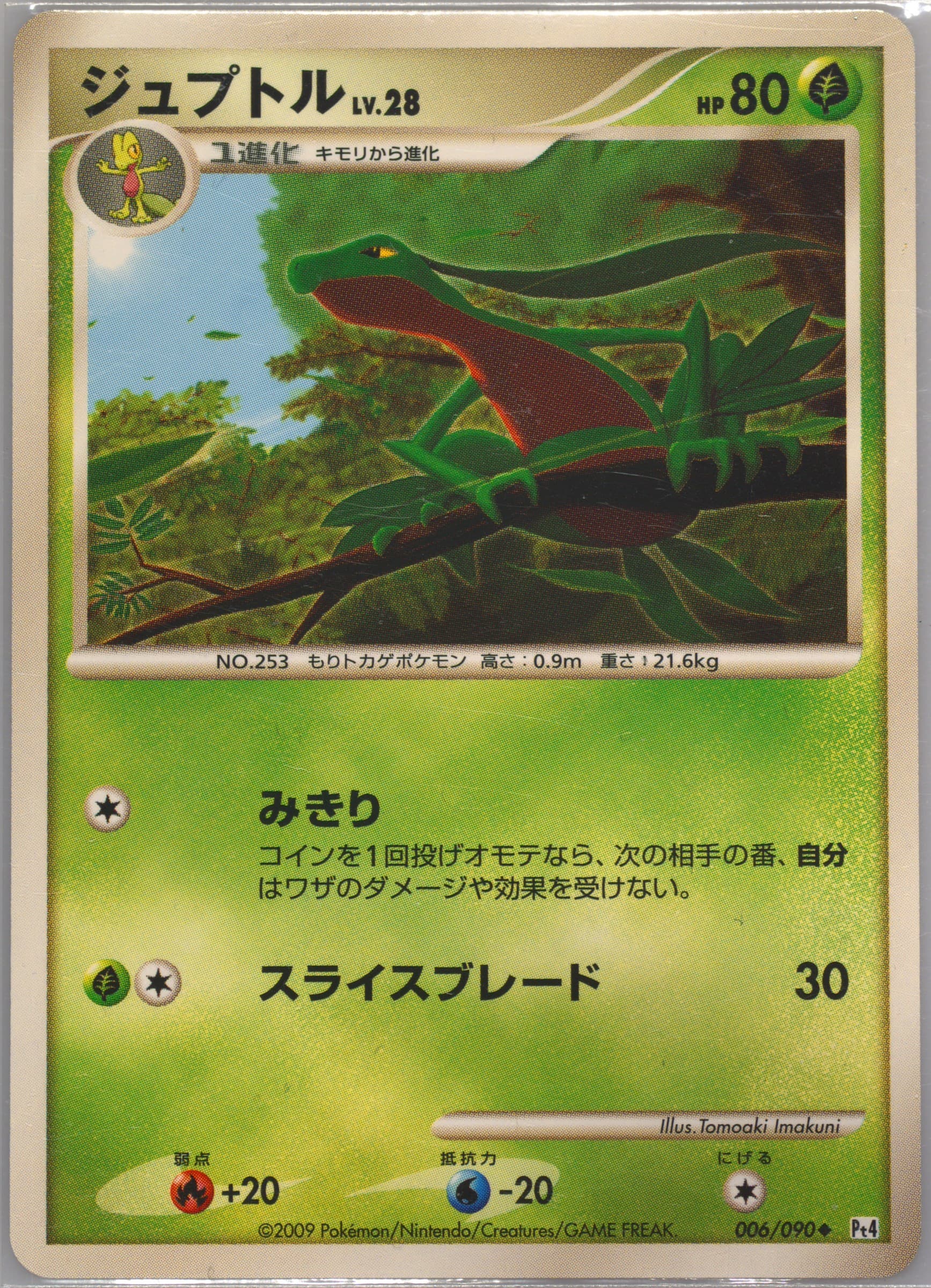Grovyle (006) 2009 Pokemon Japanese Advent of Arceus
