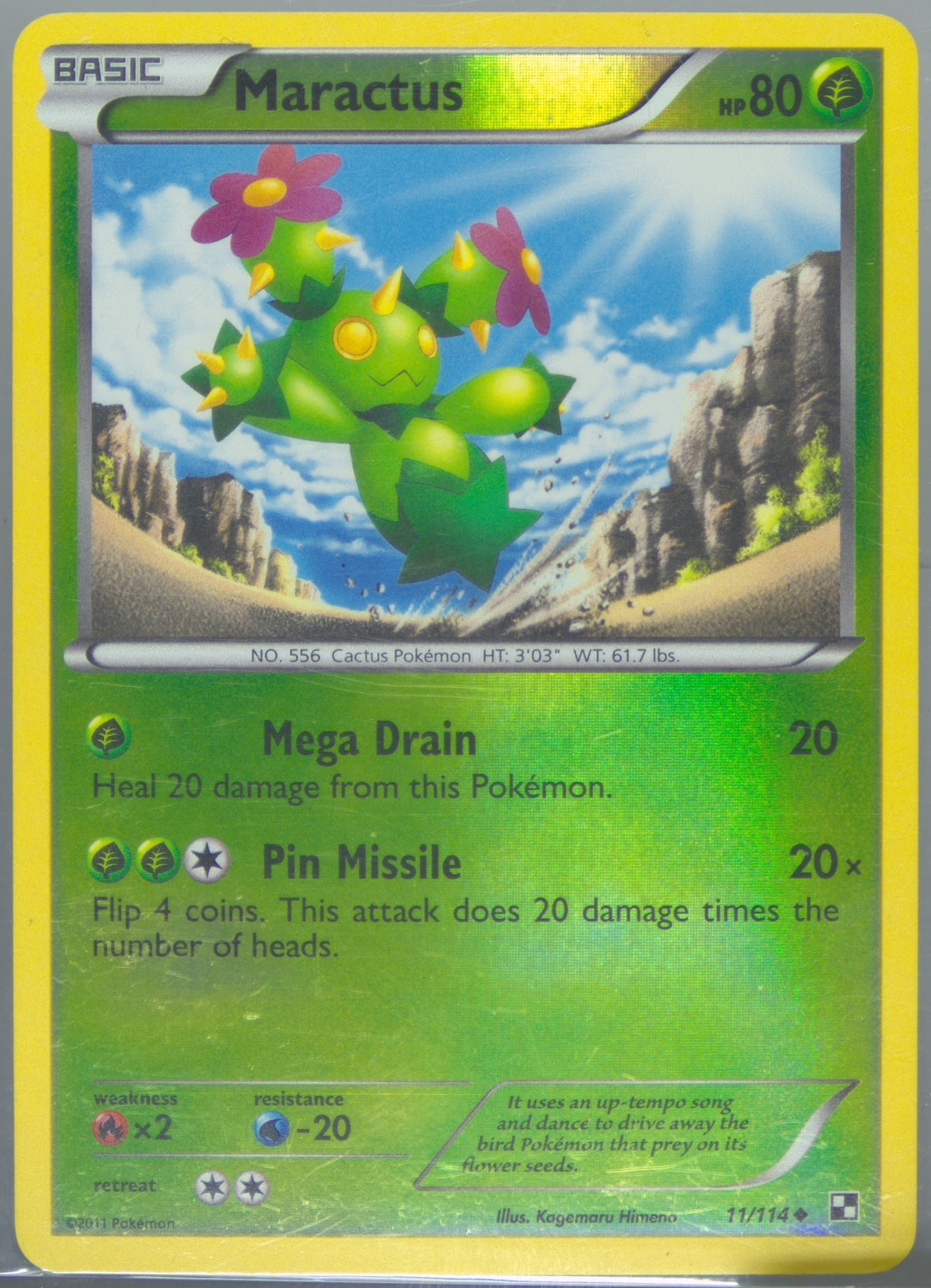 Maractus-Reverse Foil (11) 2011 Pokemon Black & White