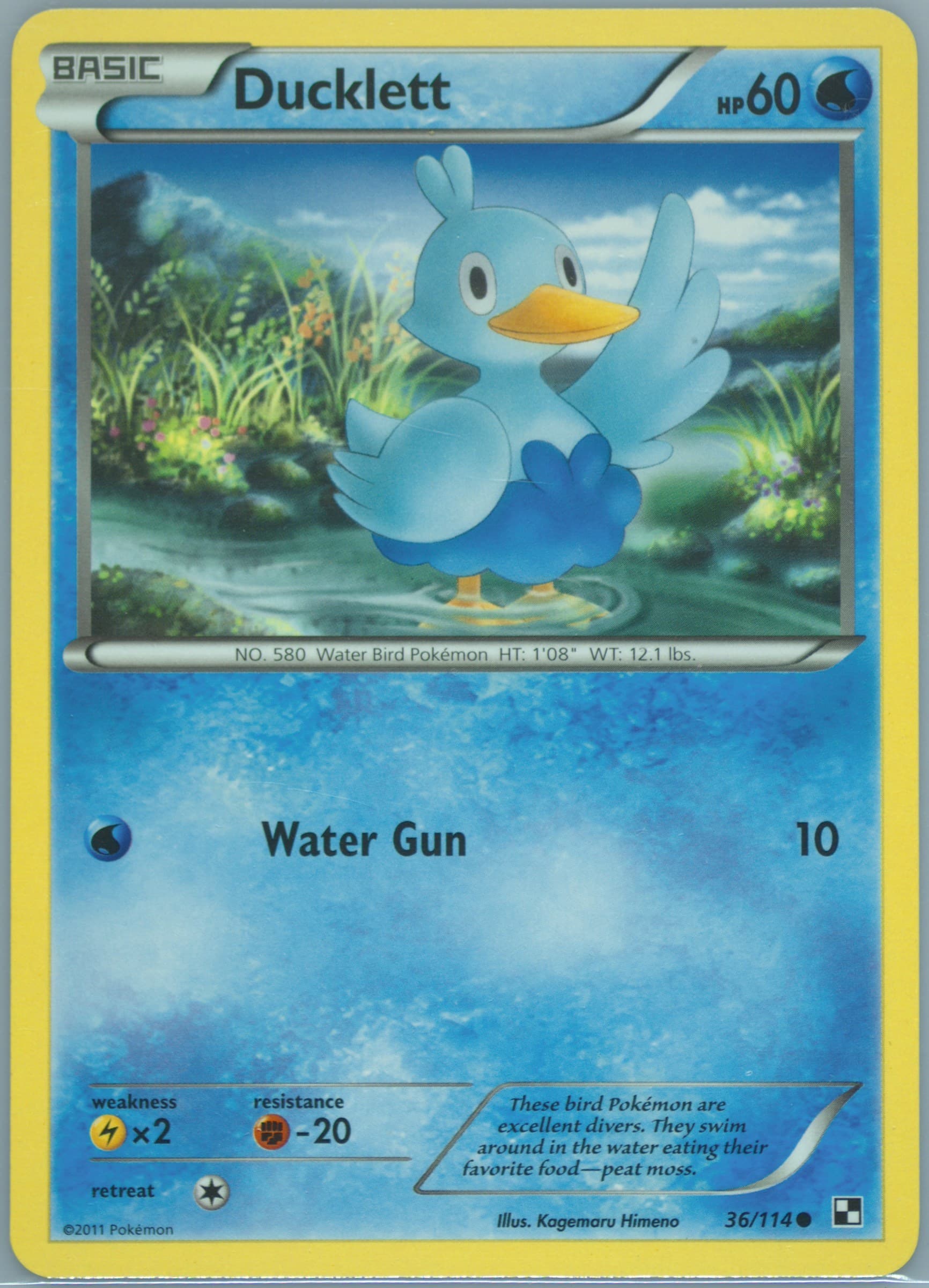 Ducklett (36) 2011 Pokemon Black & White