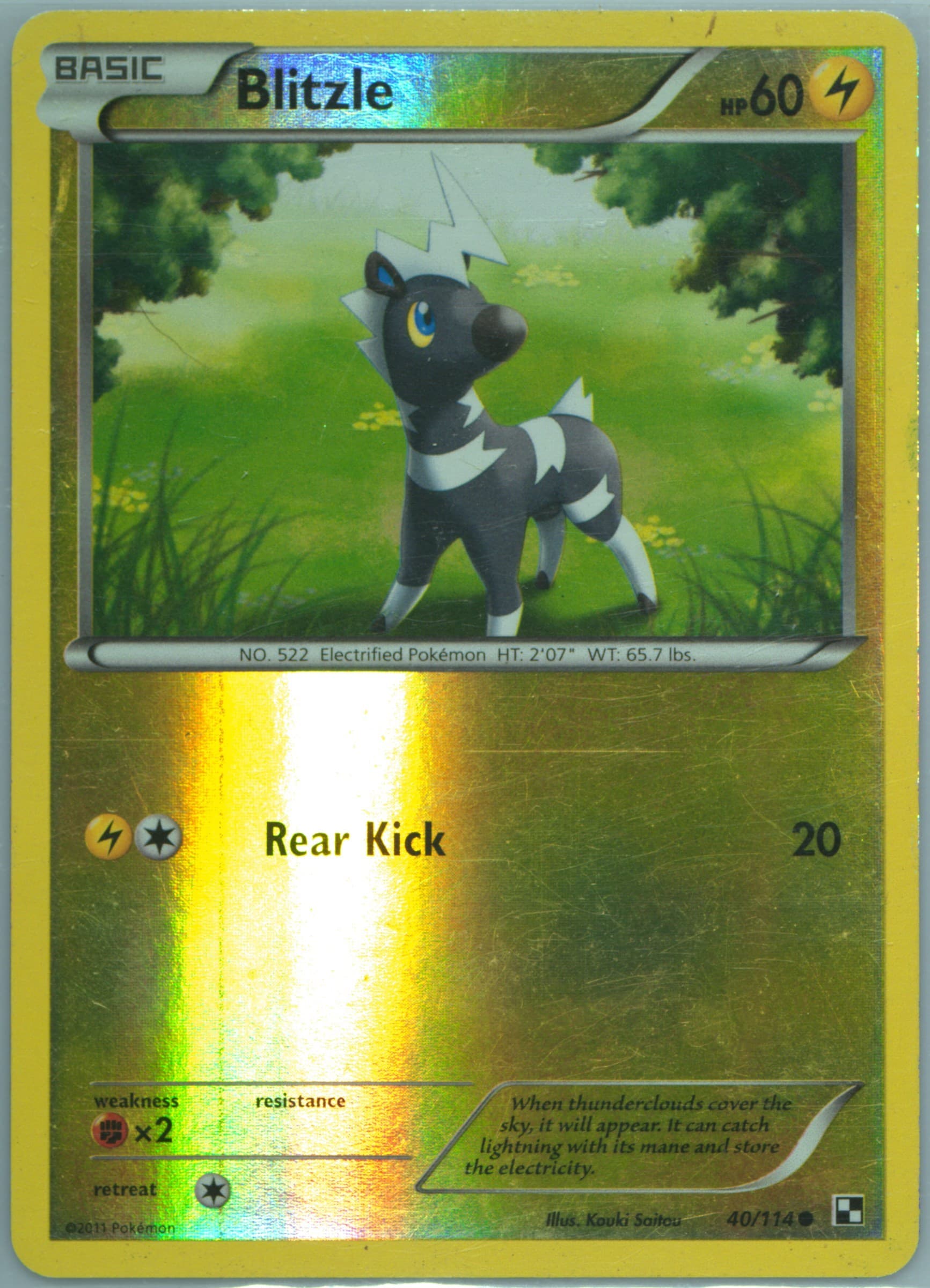 Blitzle-Reverse Foil (40) 2011 Pokemon Black & White