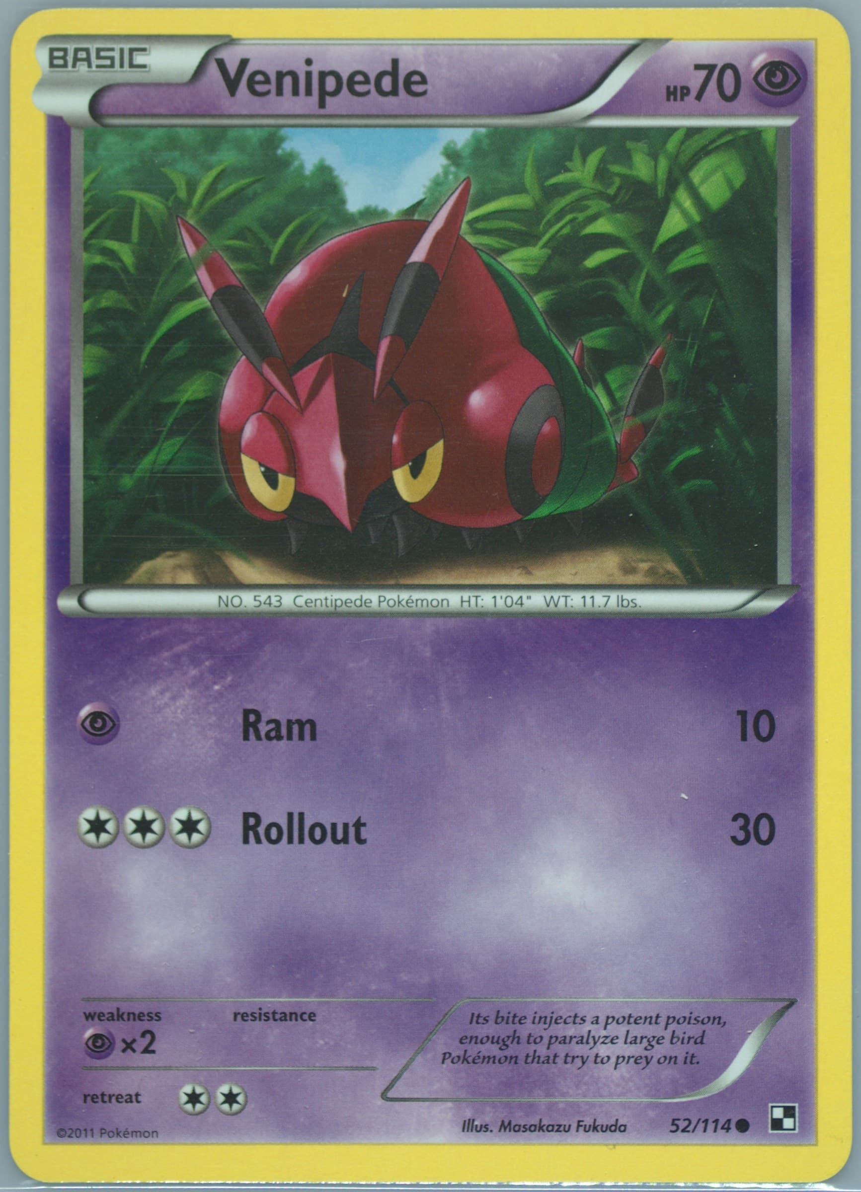 Venipede (52) 2011 Pokemon Black & White