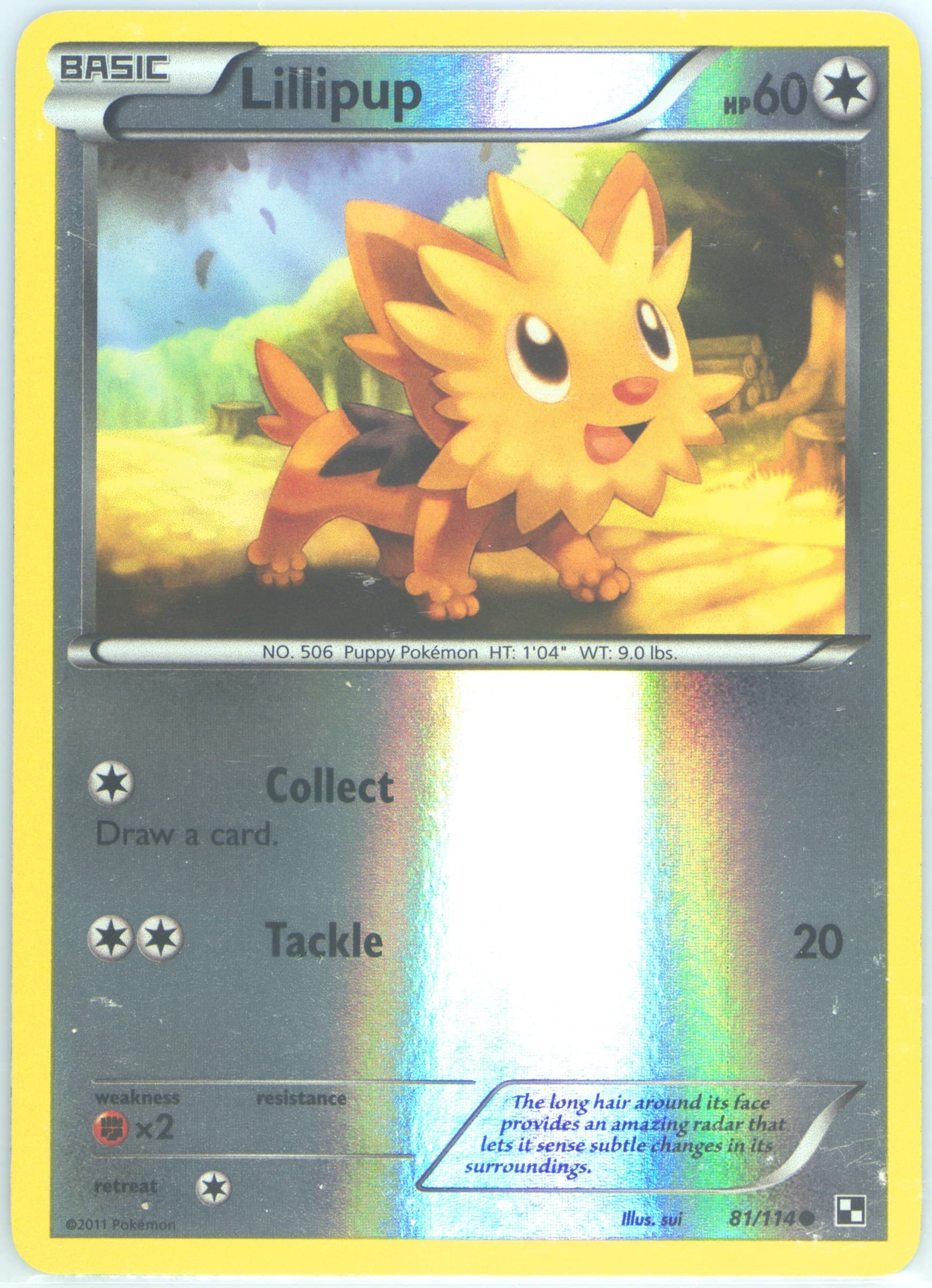 Lillipup-Reverse Foil (81) 2011 Pokemon Black & White