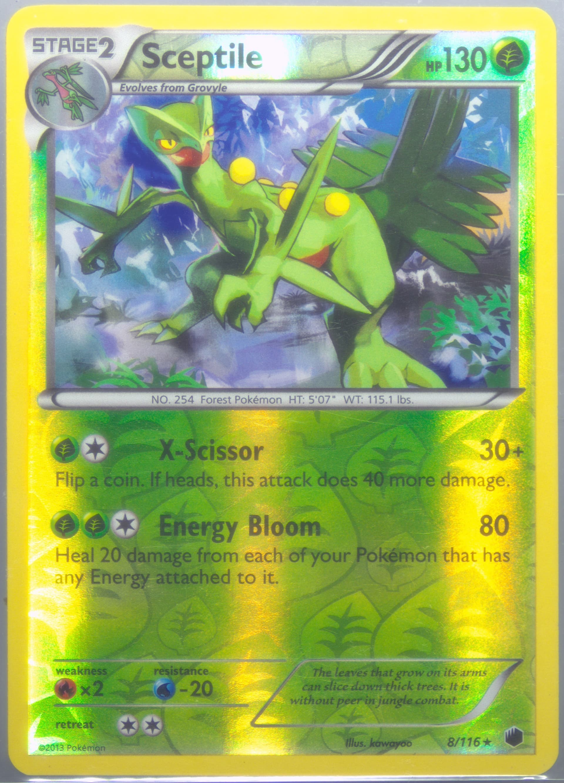 Sceptile-Reverse Foil (8) 2013 Pokemon Black & White Plasma Freeze