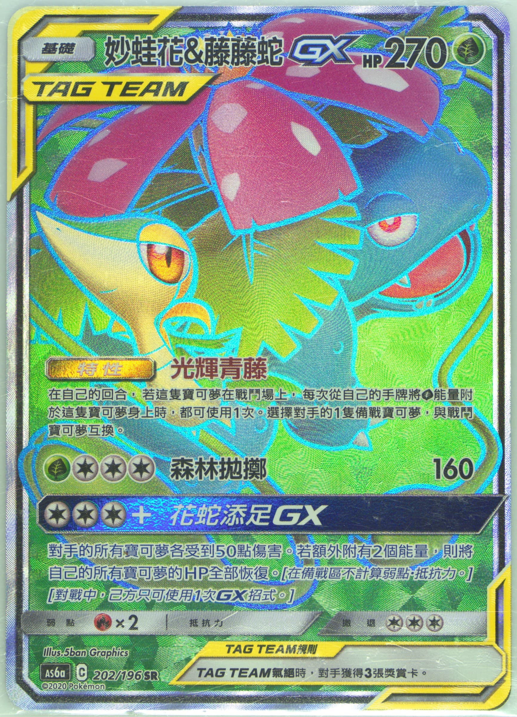 Full Art/Venusaur & Snivy GX Set A (202) 2020 Pokemon Chinese Sun & Moon Legendary Clash
