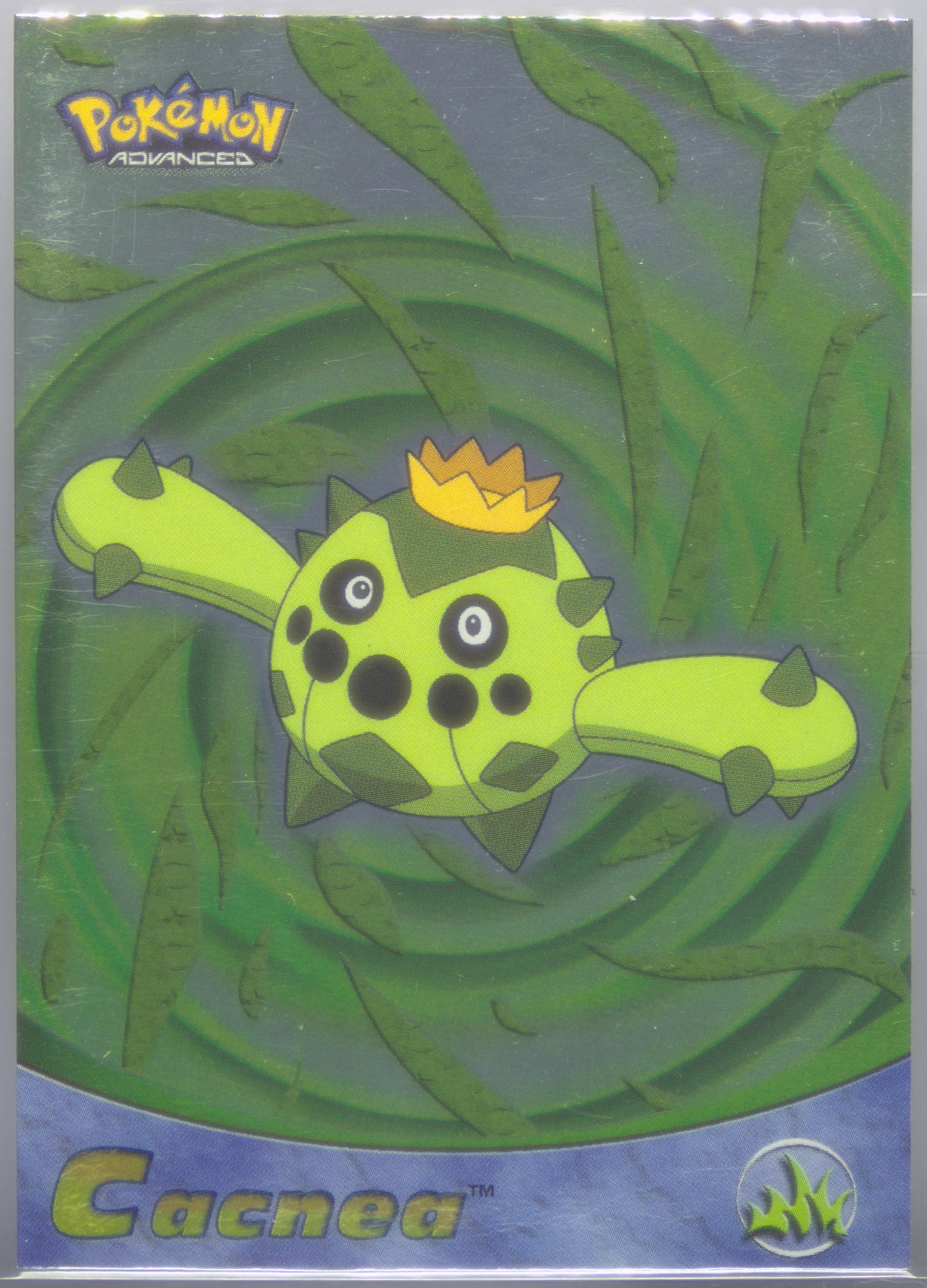Cacnea Foil (20) 2003 Topps Pokemon Advanced