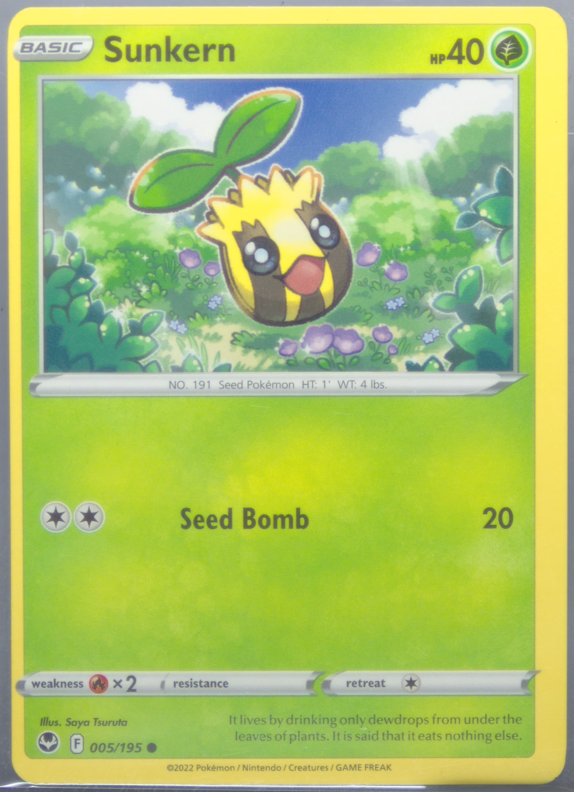 Sunkern (005) 2022 Pokemon Sword & Shield Silver Tempest