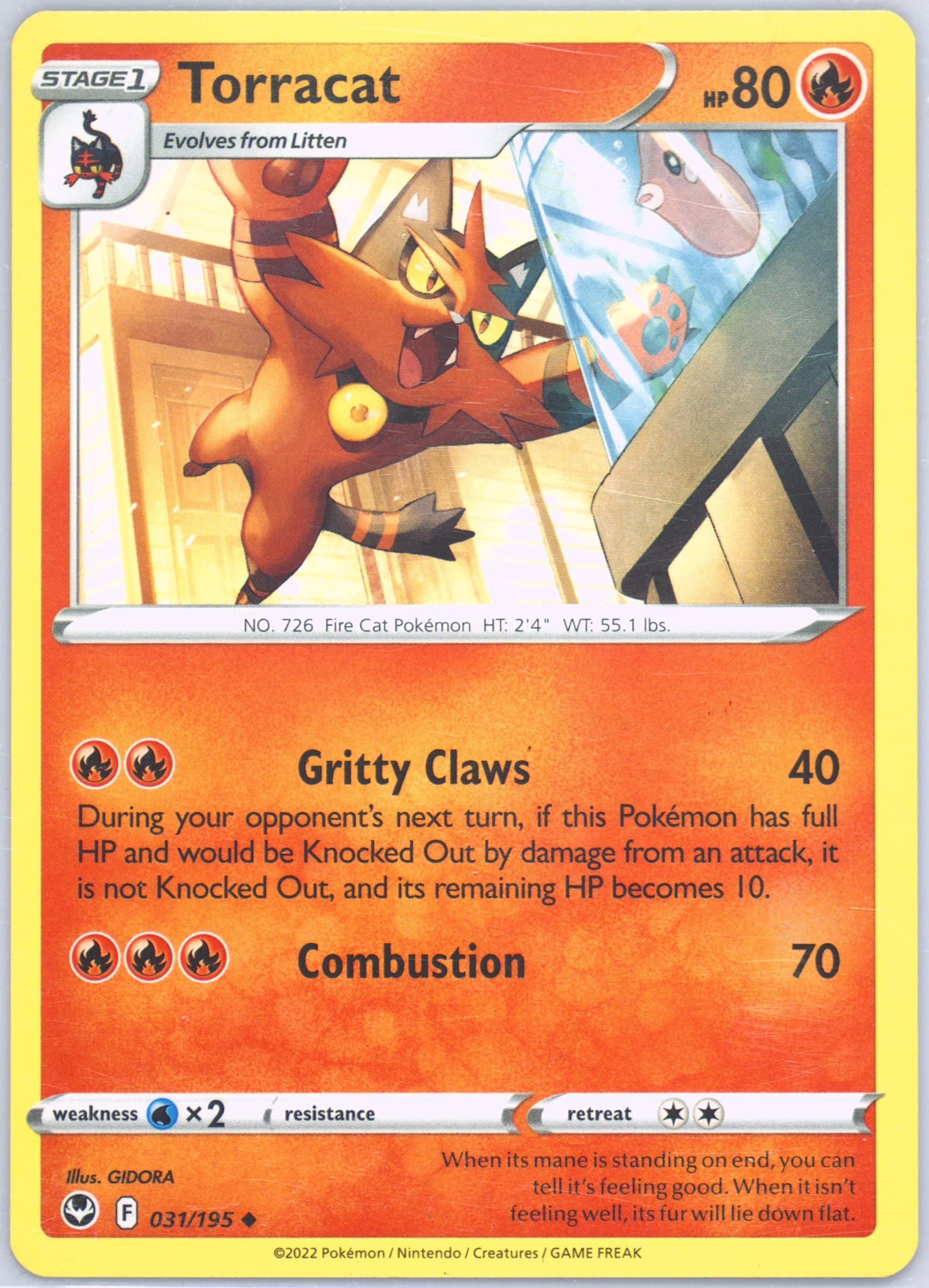 Torracat (031) 2022 Pokemon Sword & Shield Silver Tempest