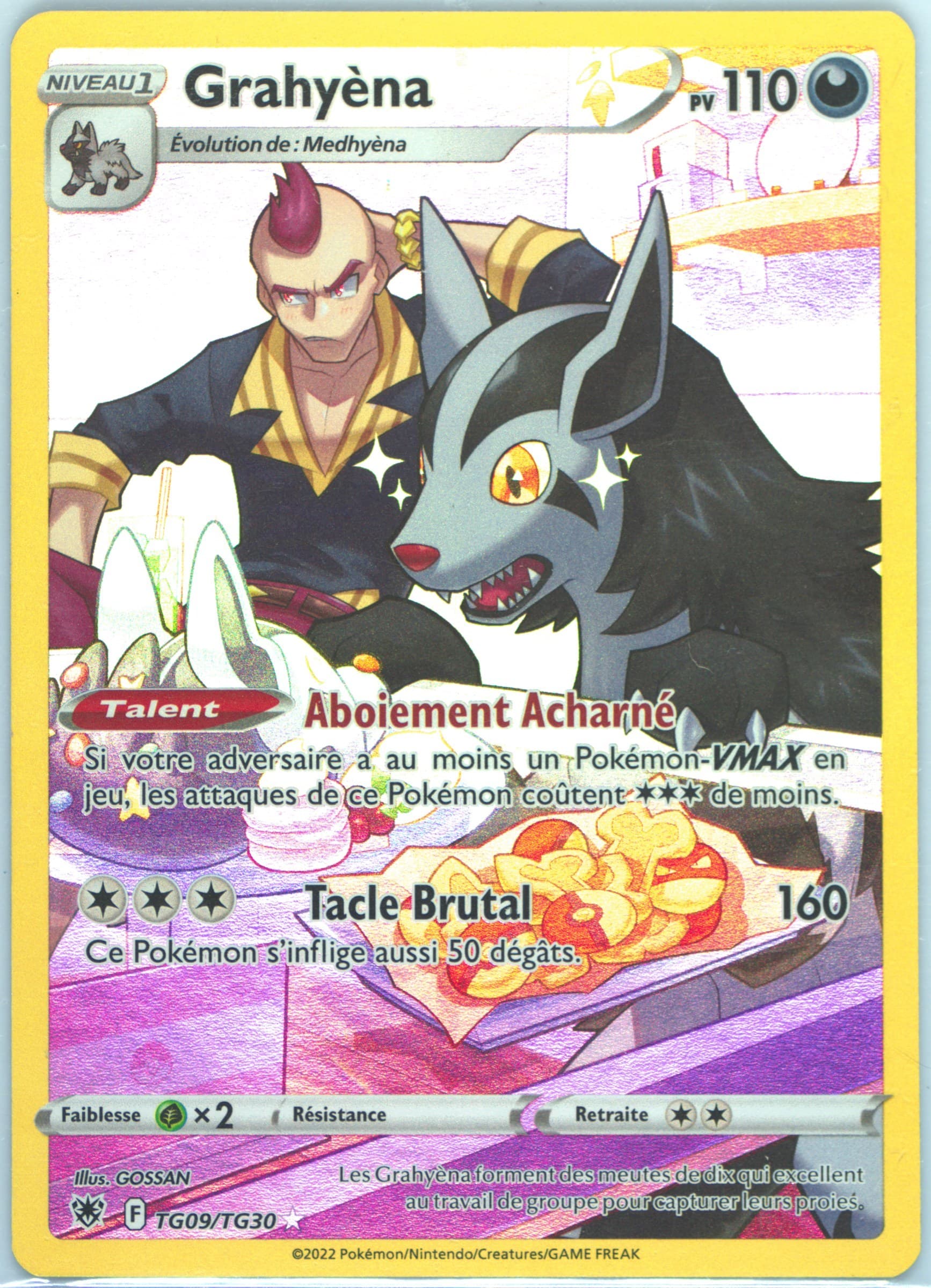 Full Art/Grahyena French (TG09) 2022 Pokemon Sword & Shield Astral Radiance