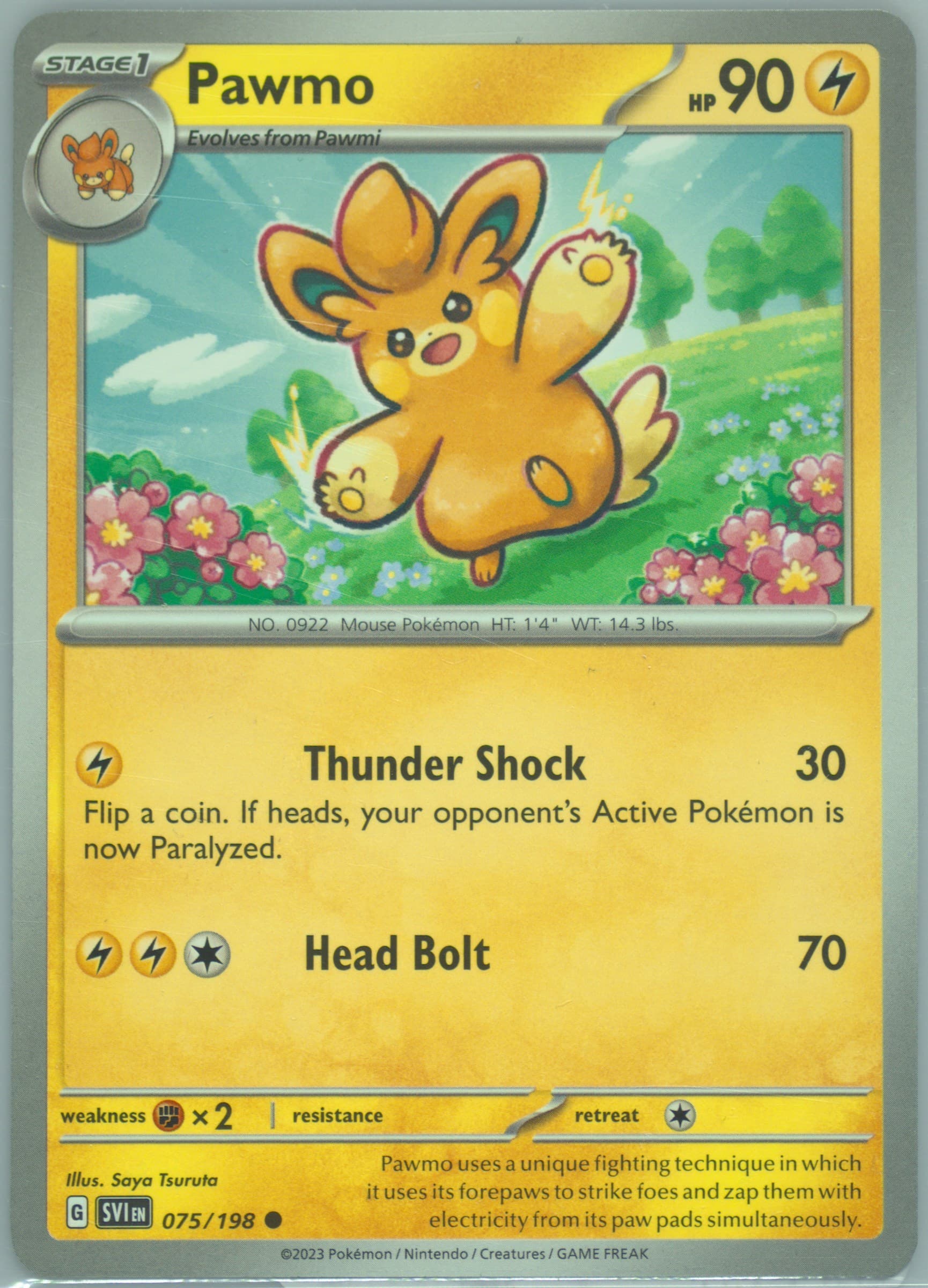 Pawmo (075) 2023 Pokemon Svi EN-Scarlet & Violet