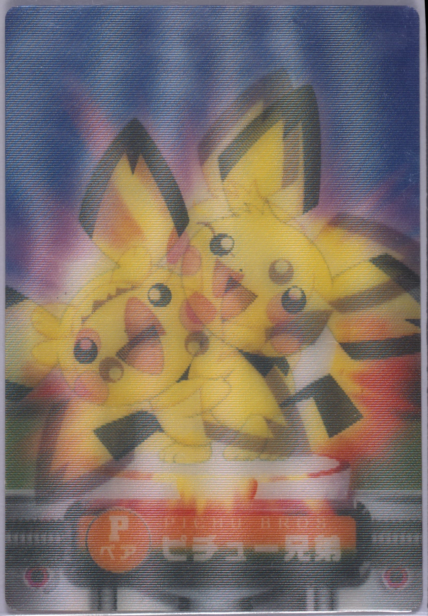Pichu Bros. 2003 Carddass Pokemon Advanced Generation Zukancard Evolution Card