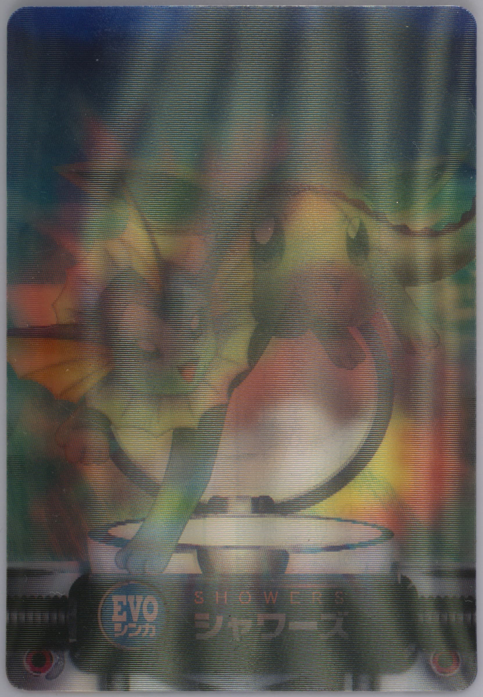 Eevee/Flareon/Jolteon 2005 Carddass Pokemon Advanced Generation Zukancard & Seal SP