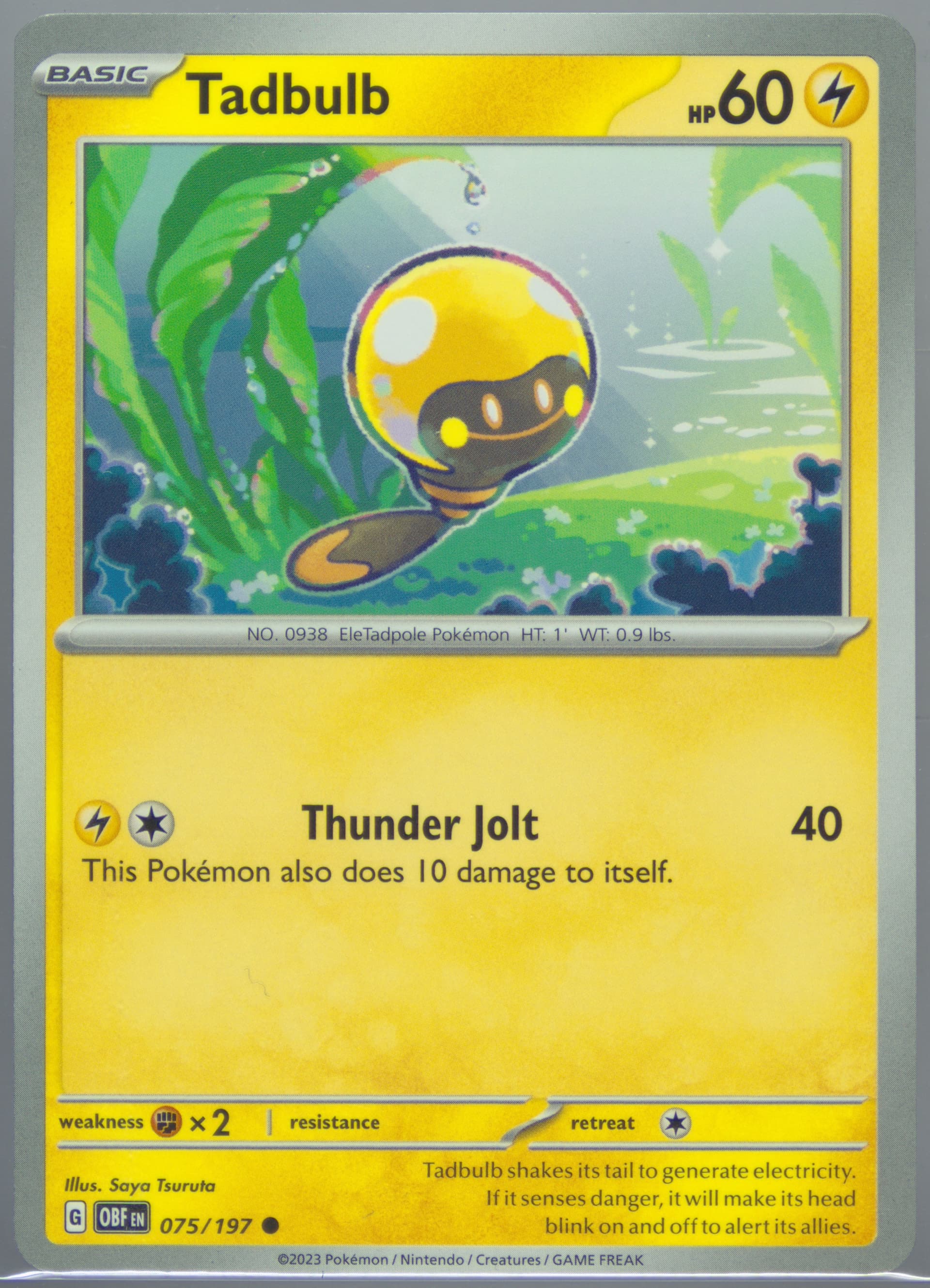 Tadbulb (075) 2023 Pokemon Obf EN-Obsidian Flames