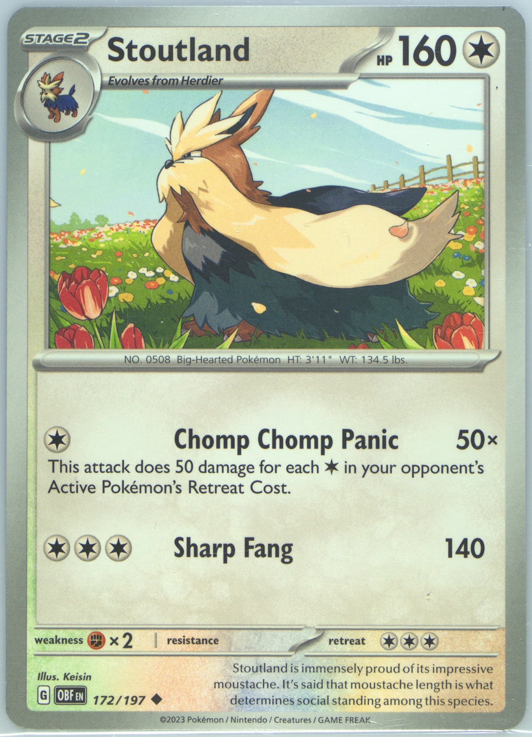 Stoutland (172) 2023 Pokemon Obf EN-Obsidian Flames