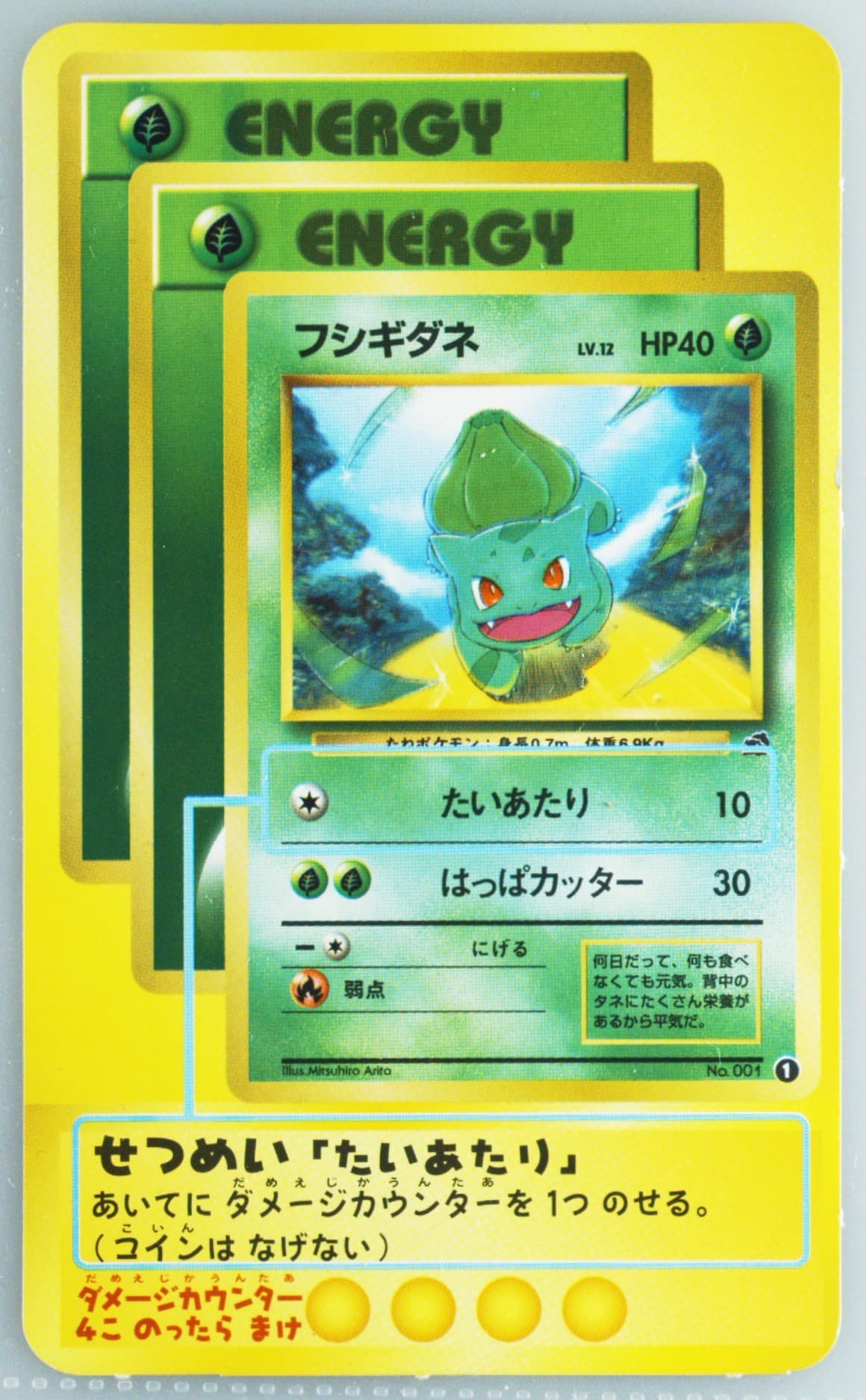 Bulbasaur Teach Set-Jumbo (1) 2000 Pokemon Japanese Promo