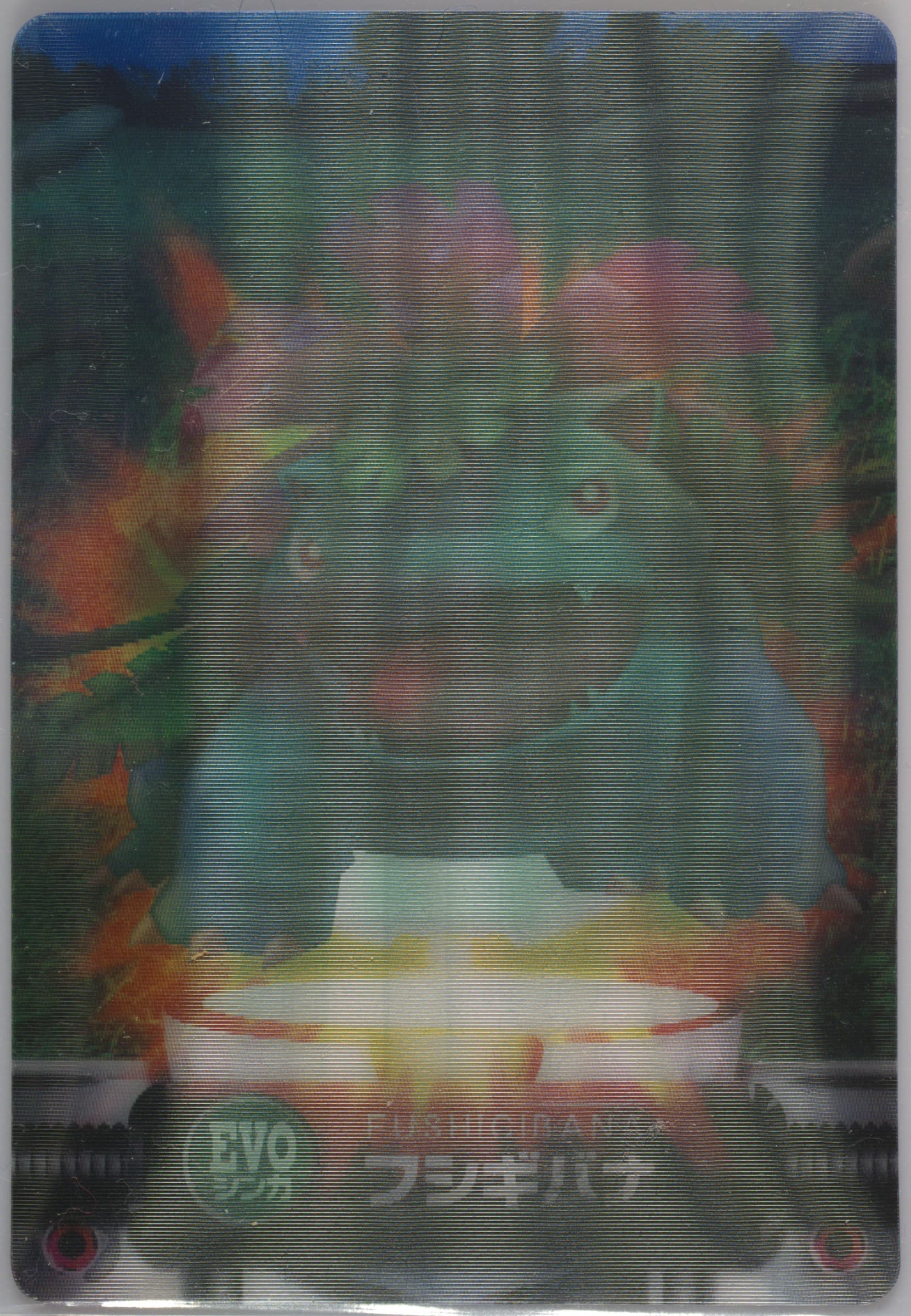Bulbasaur/Ivysaur/Venusaur 2005 Carddass Pokemon Advanced Generation Zukancard & Seal SP