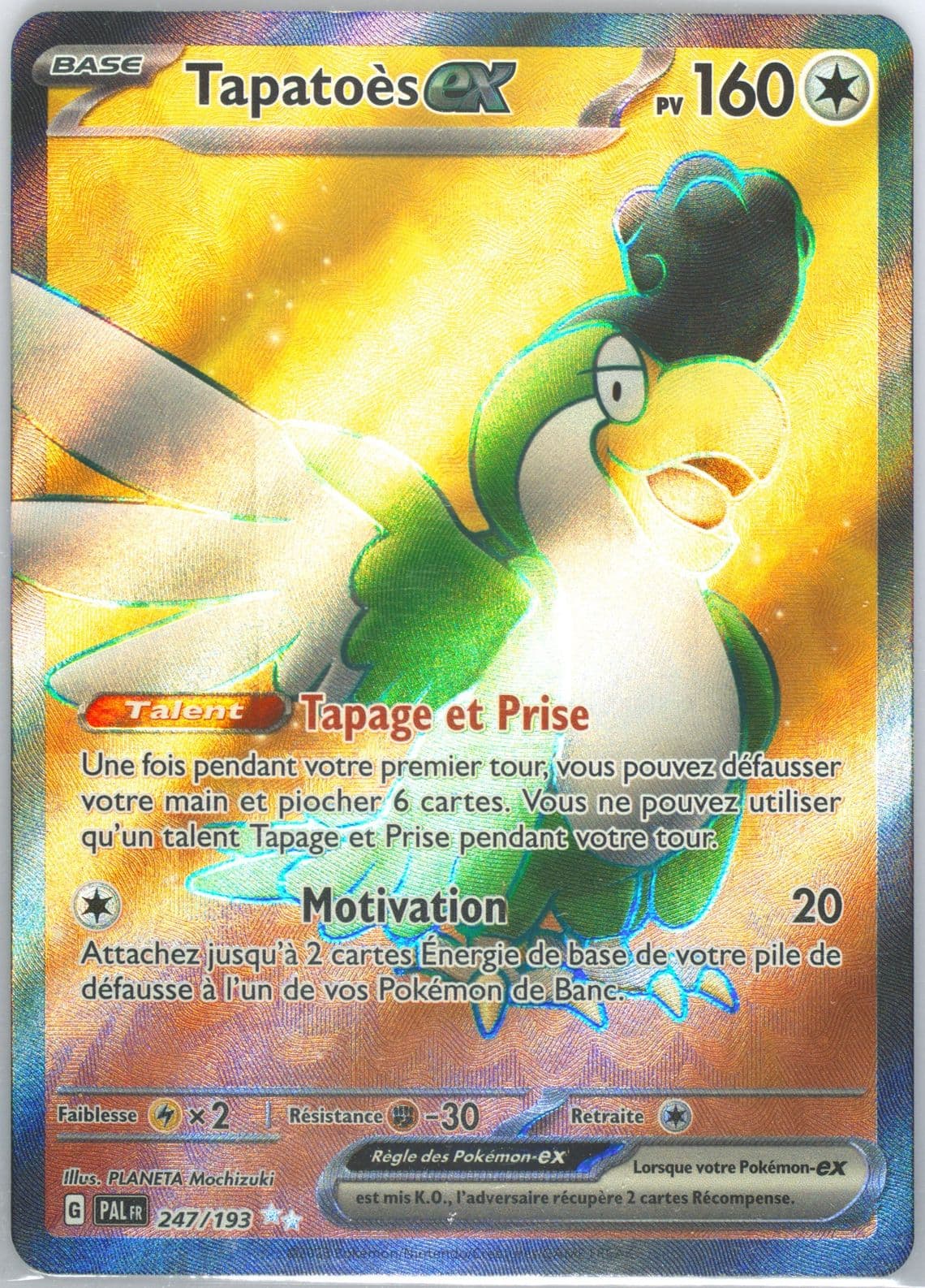Squawkabilly EX Ultra Rare (247) 2023 Pokemon French Pal FR-Paldea Evolved