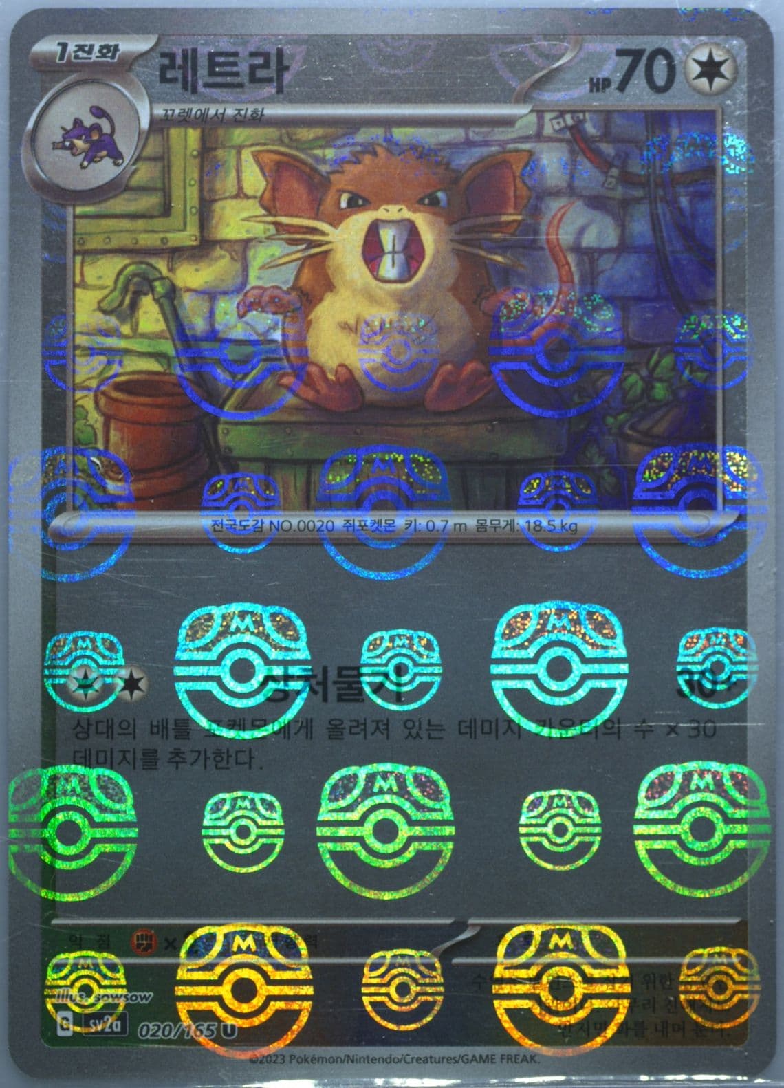 Raticate Master Ball Reverse Holo (020) 2023 Pokemon Korean Sv2a-Pokemon 151