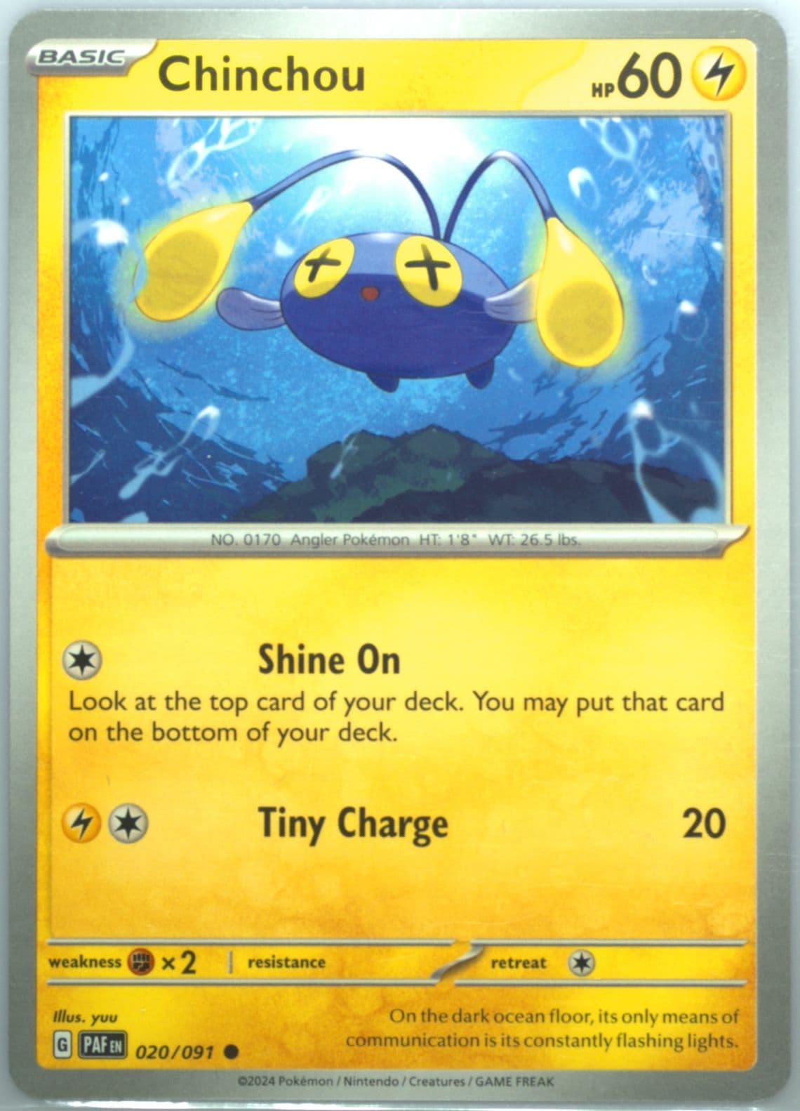 Chinchou (020) 2024 Pokemon Paf EN-Paldean Fates
