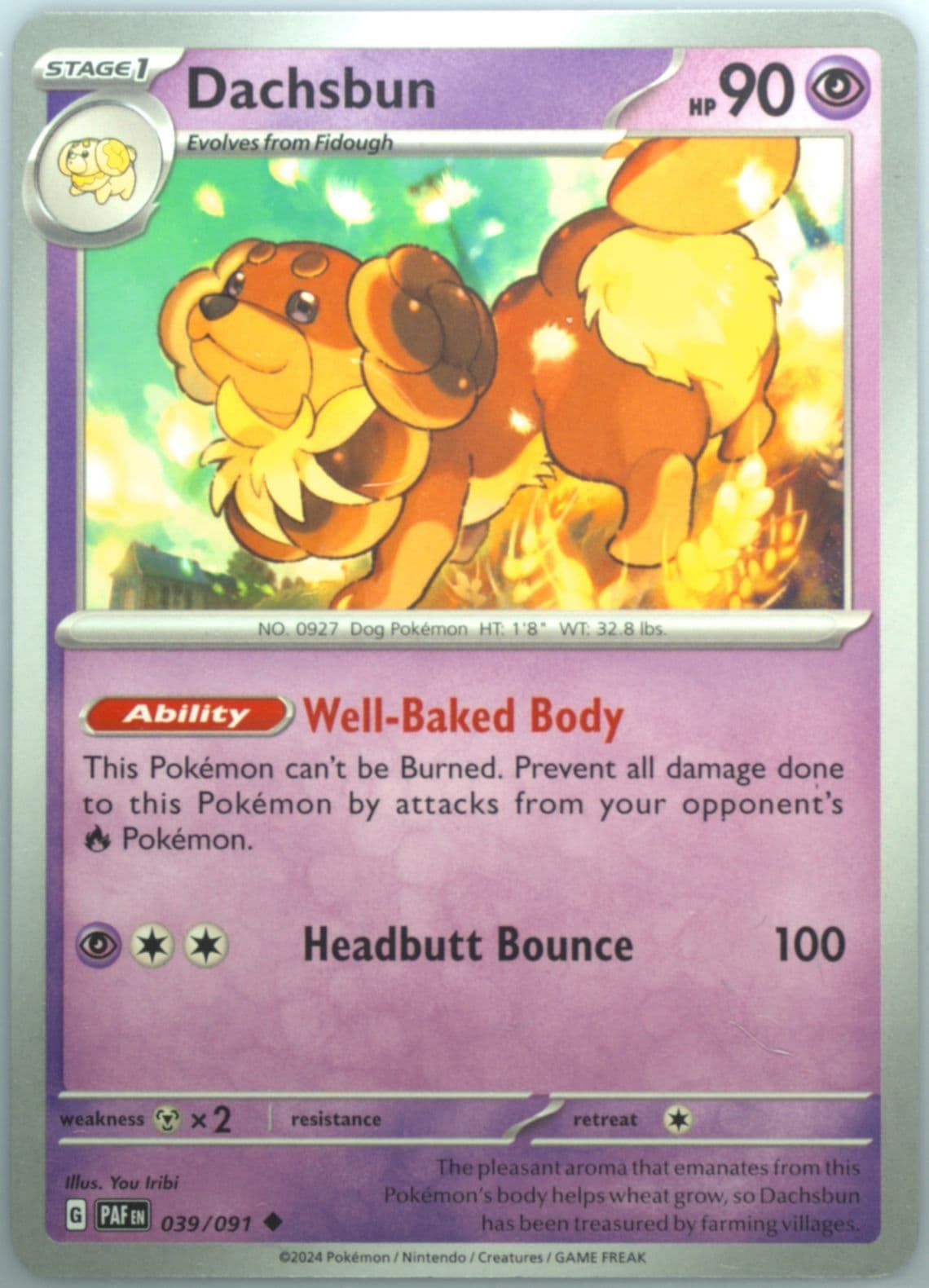 Dachsbun (039) 2024 Pokemon Paf EN-Paldean Fates