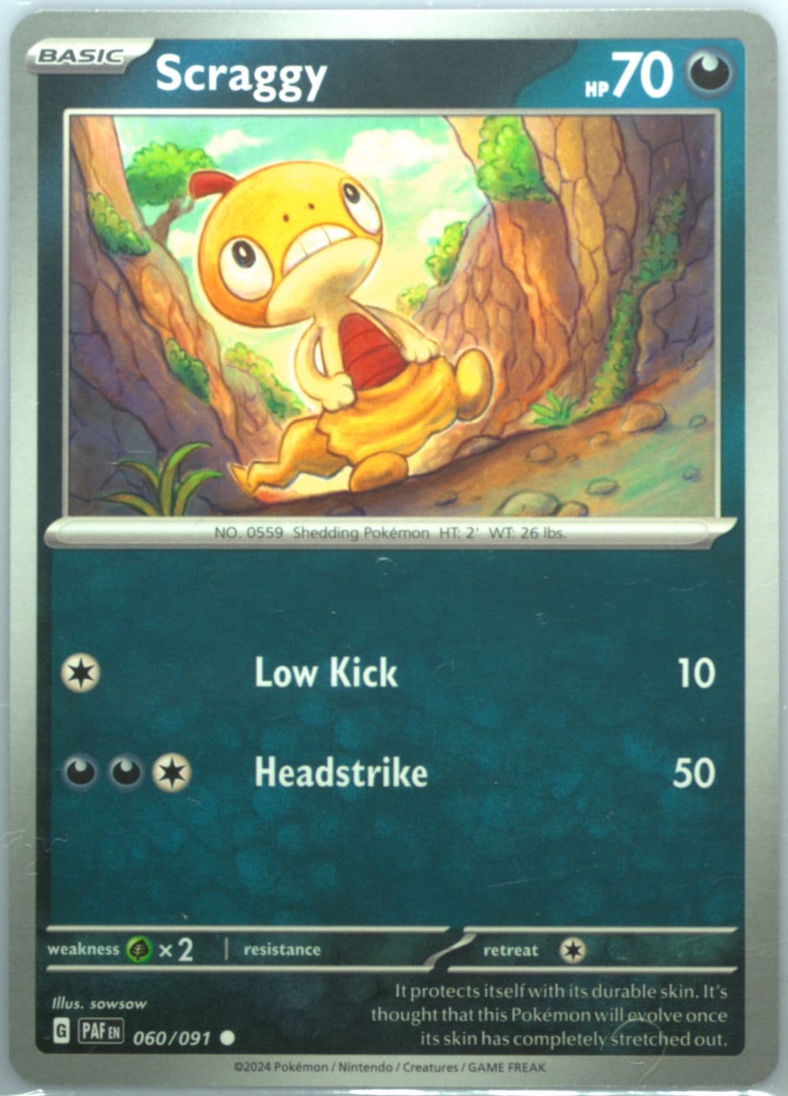 Scraggy (060) 2024 Pokemon Paf EN-Paldean Fates