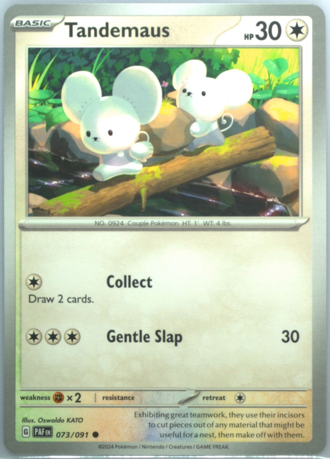 Tandemaus (073) 2024 Pokemon Paf EN-Paldean Fates