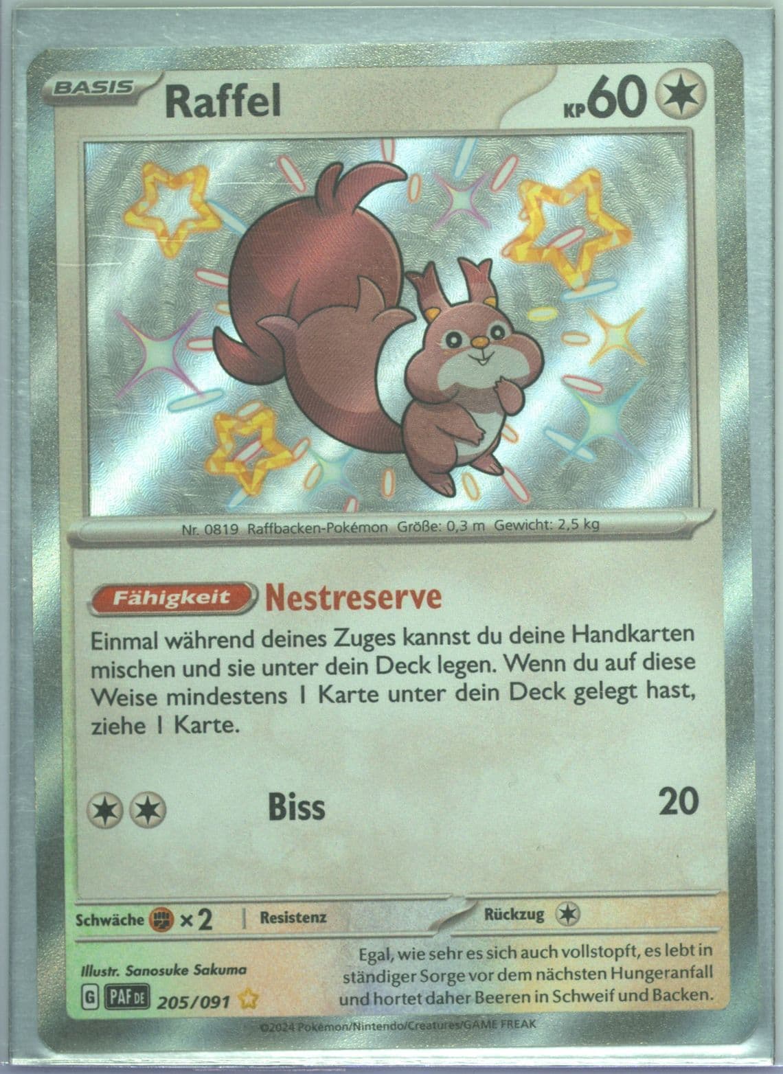 Skwovet Shiny Rare (205) 2024 Pokemon German Paf de-Paldean Fates