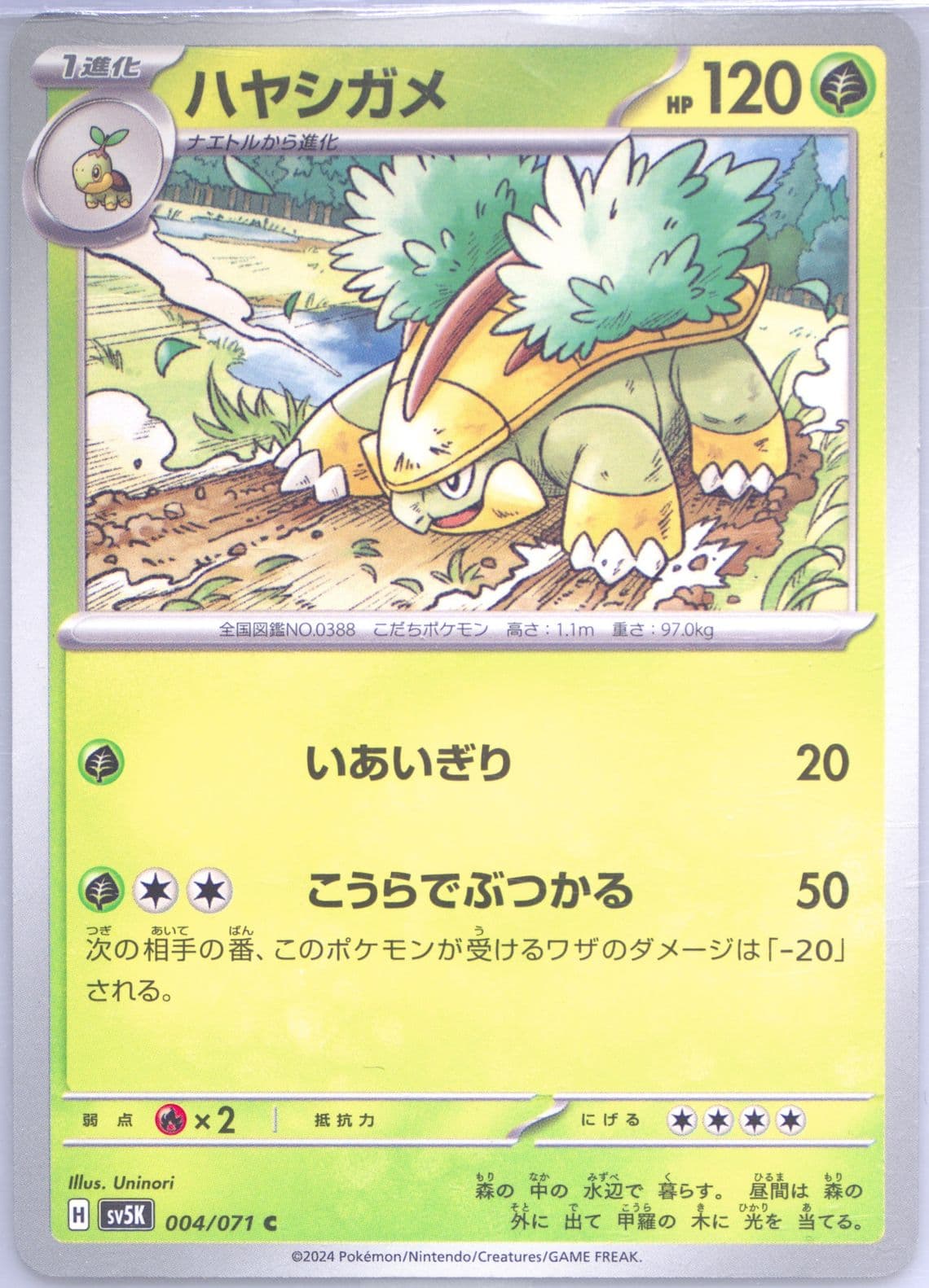 Grotle (004) 2024 Pokemon Japanese Sv5k-Wild Force