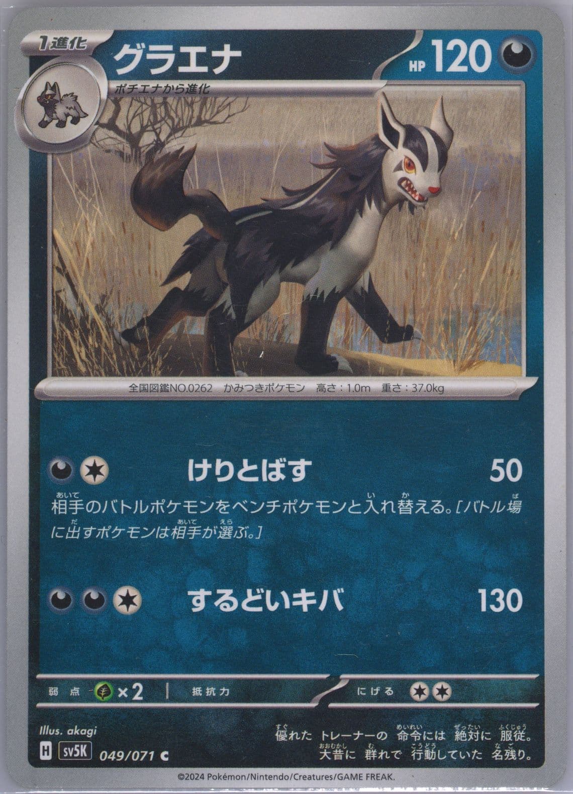 Mightyena (049) 2024 Pokemon Japanese Sv5k-Wild Force
