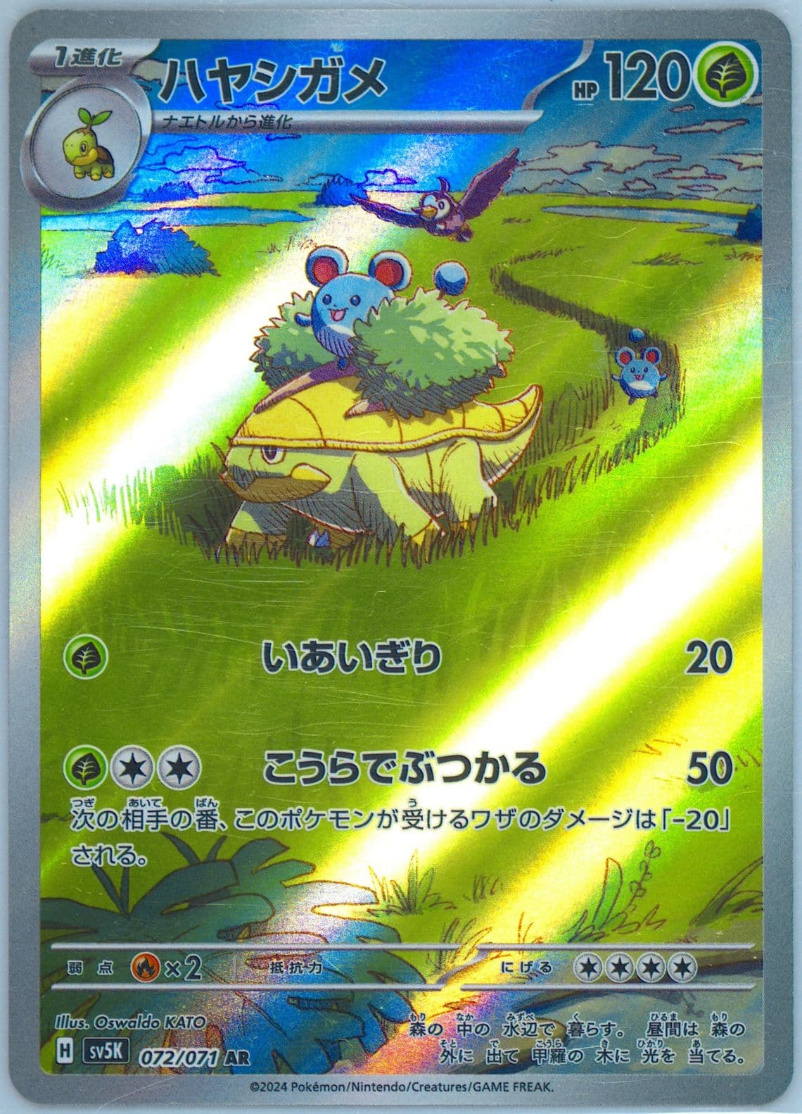 Grotle Art Rare (072) 2024 Pokemon Japanese Sv5k-Wild Force