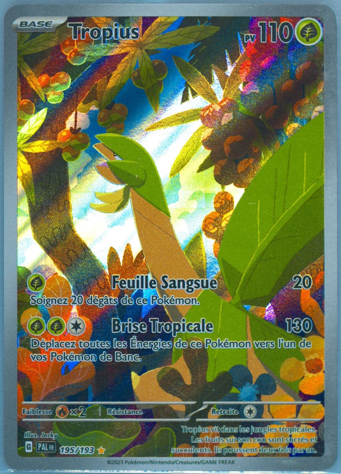 Tropius Illustration Rare (195) 2023 Pokemon French Pal FR-Paldea Evolved