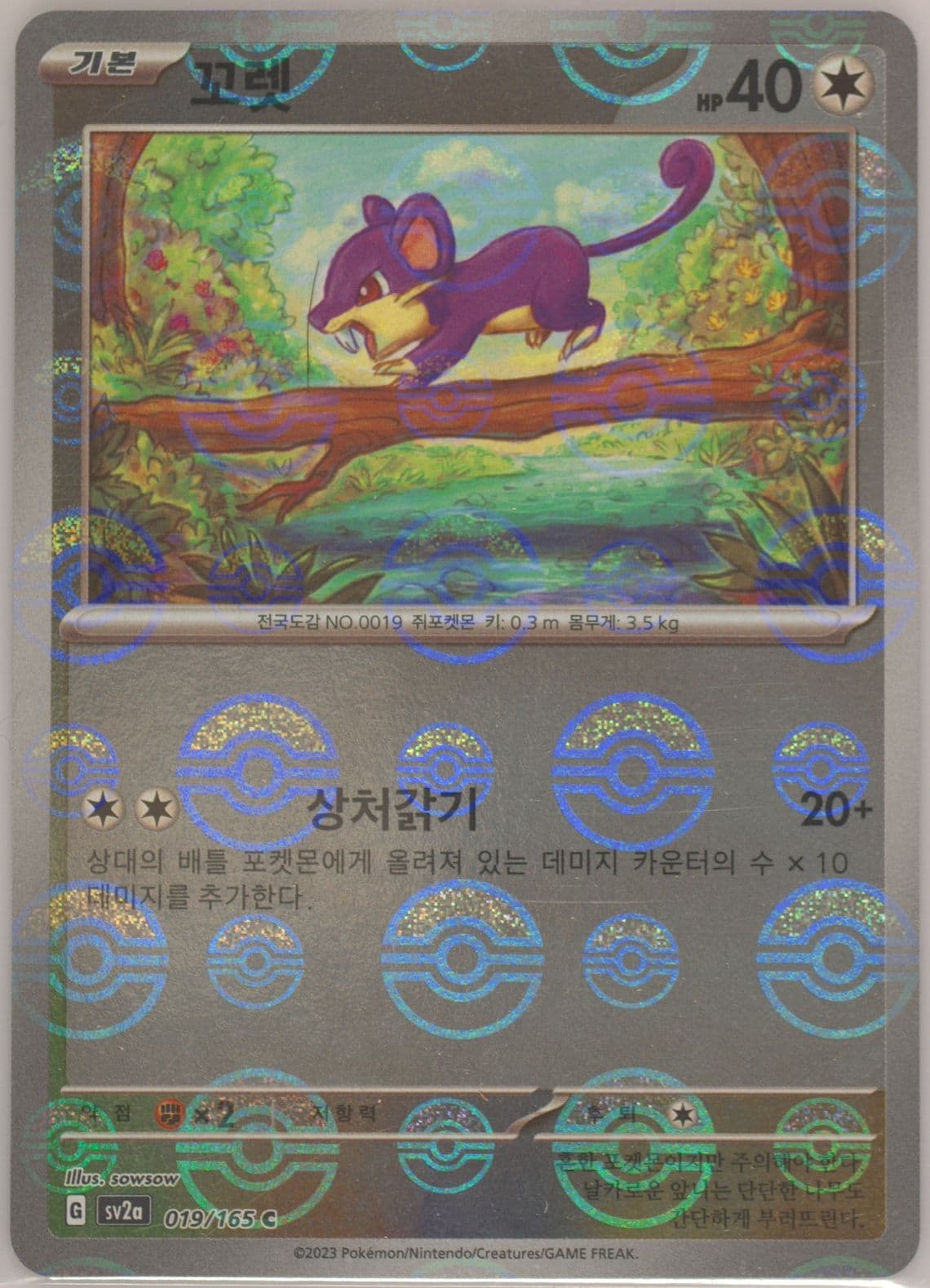 Rattata Reverse Holo (019) 2023 Pokemon Korean Sv2a-Pokemon 151