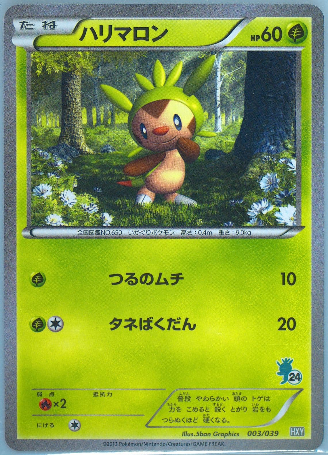 Chespin Chespin Deck #24 (003) 2013 Pokemon Japanese XY Beginning Set