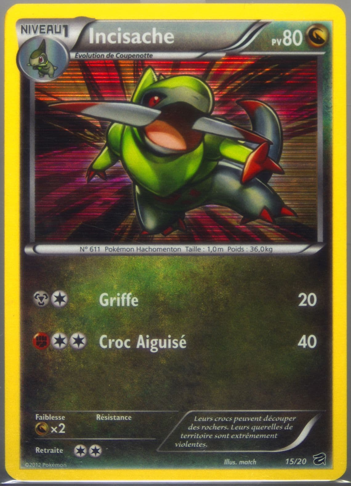 Incisache-Holo French (15) 2012 Pokemon Black & White Dragon Vault